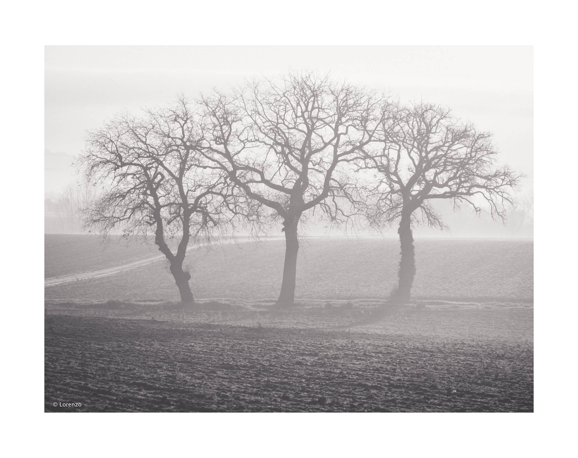 campagna maceratese...