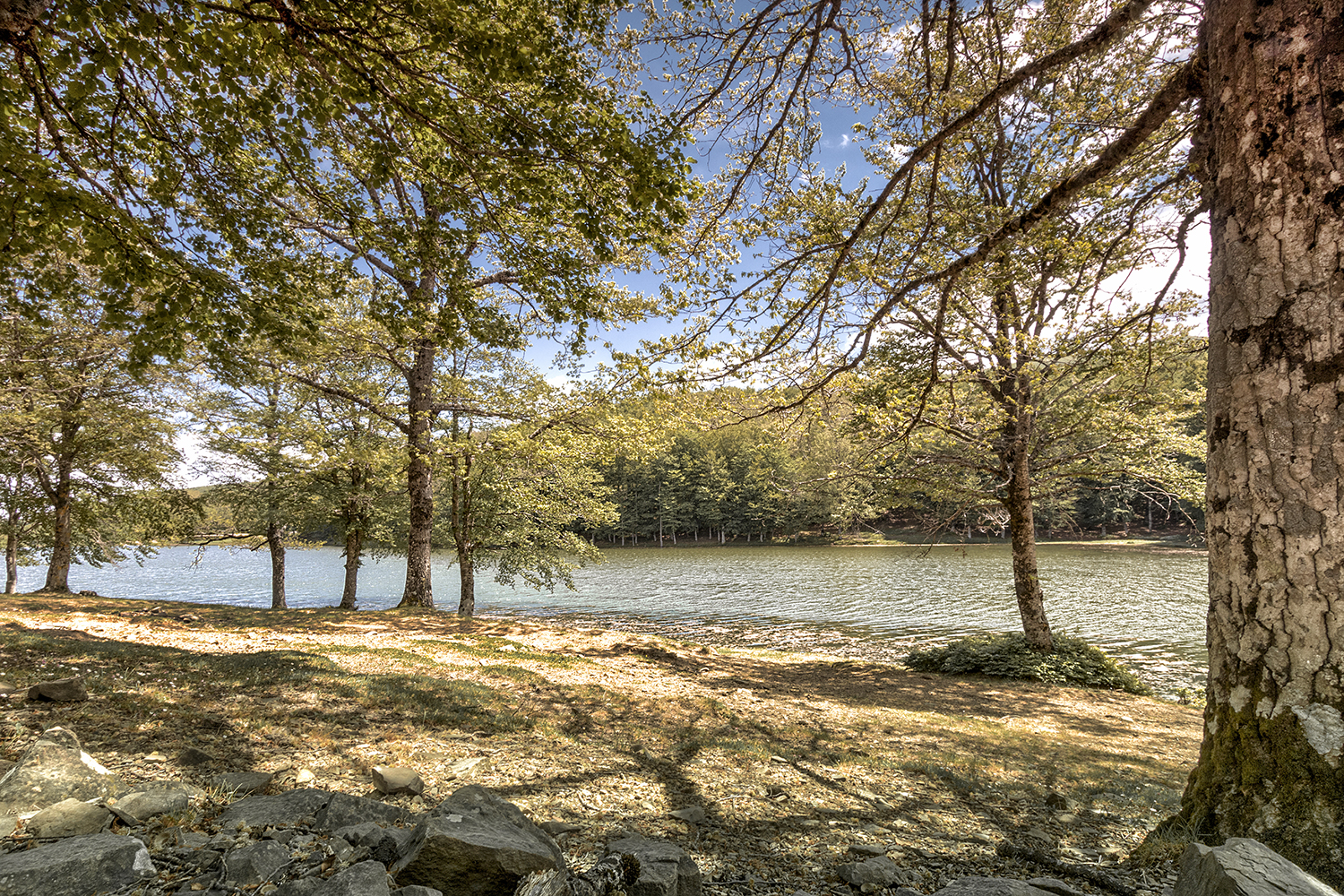 Glimpse of Lake Mulazzo-Sanbro-ME...