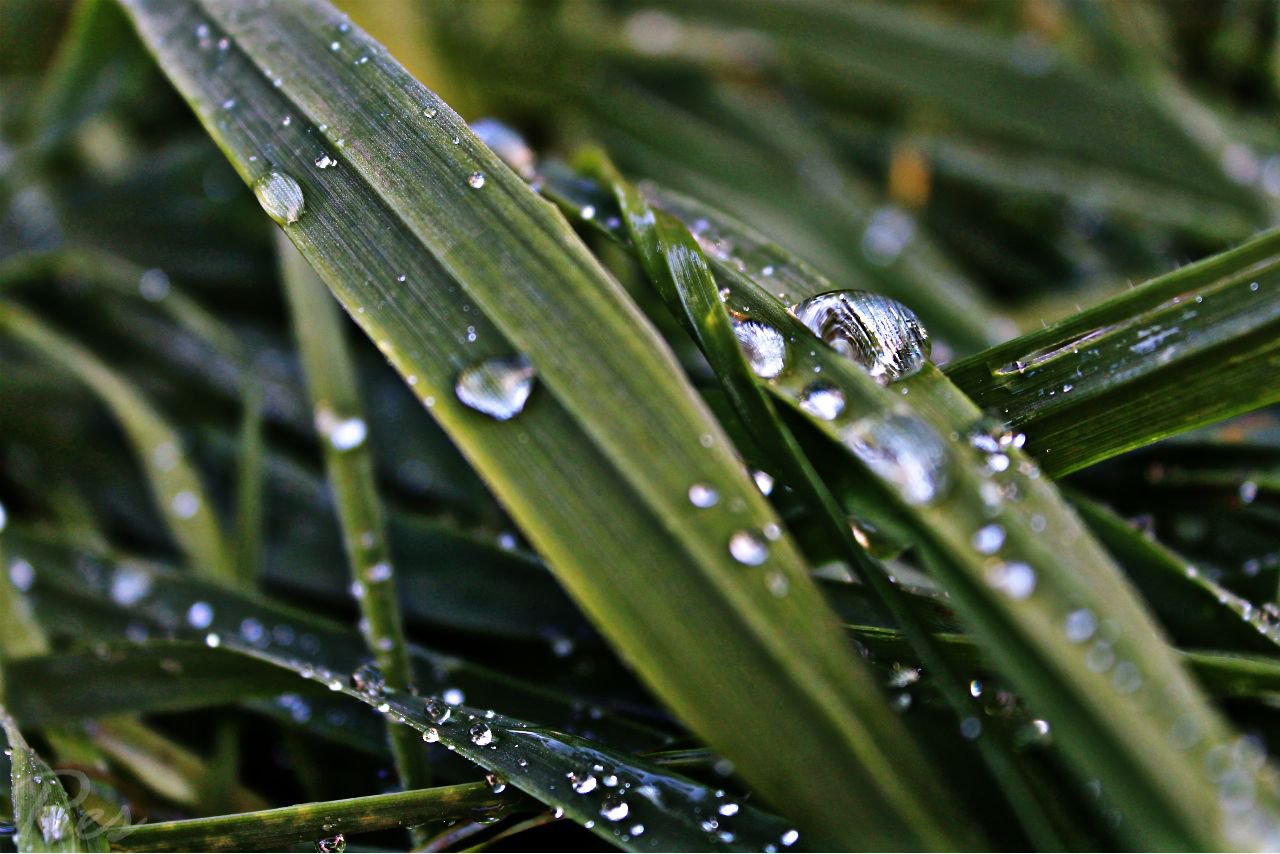 Untitled Photo...