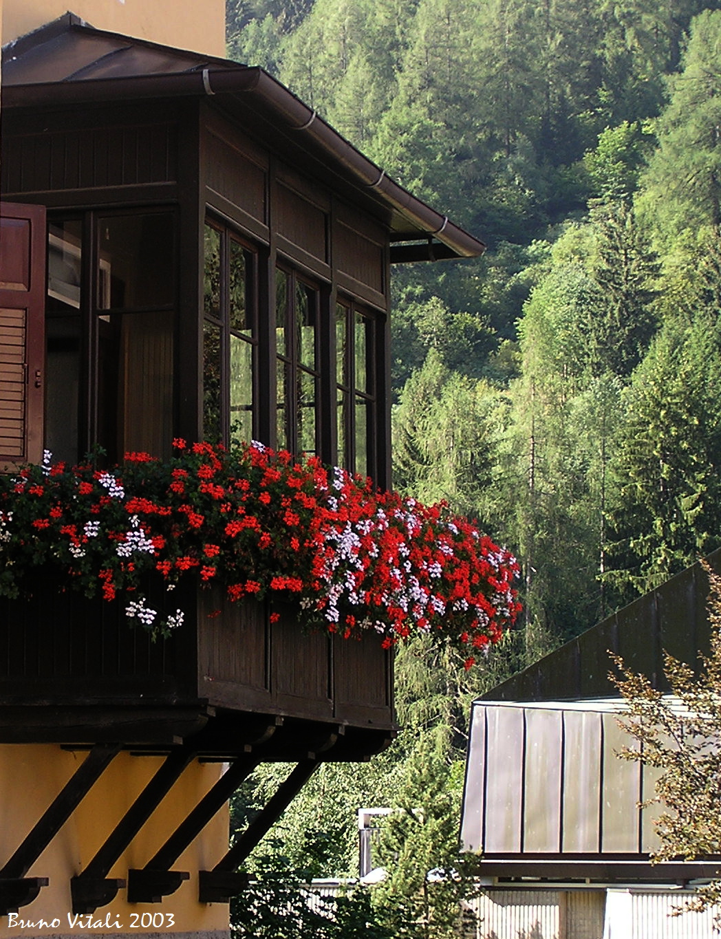 flowered balcony in Cogolo...