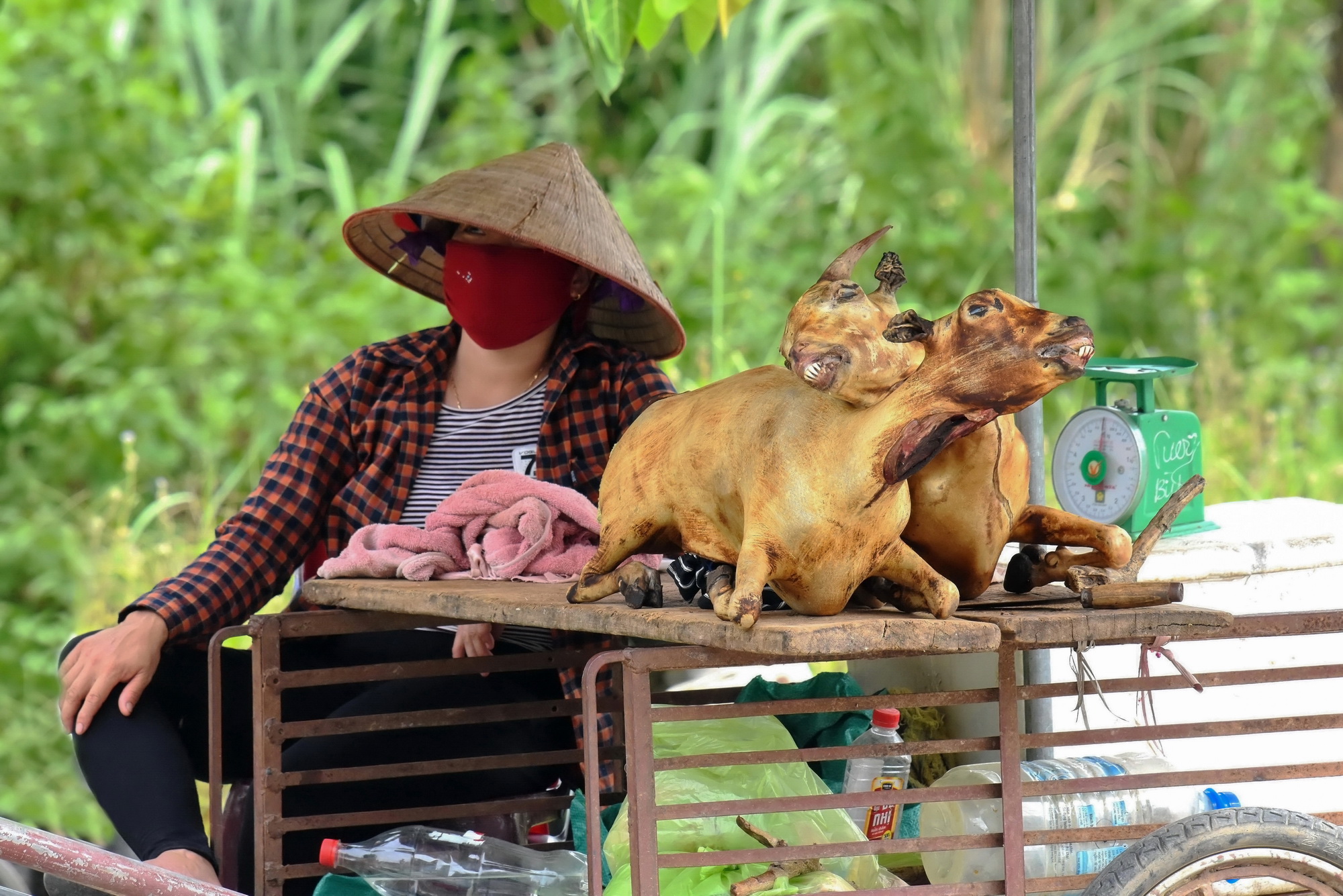 Goat meat saleswoman (Vietnam)...