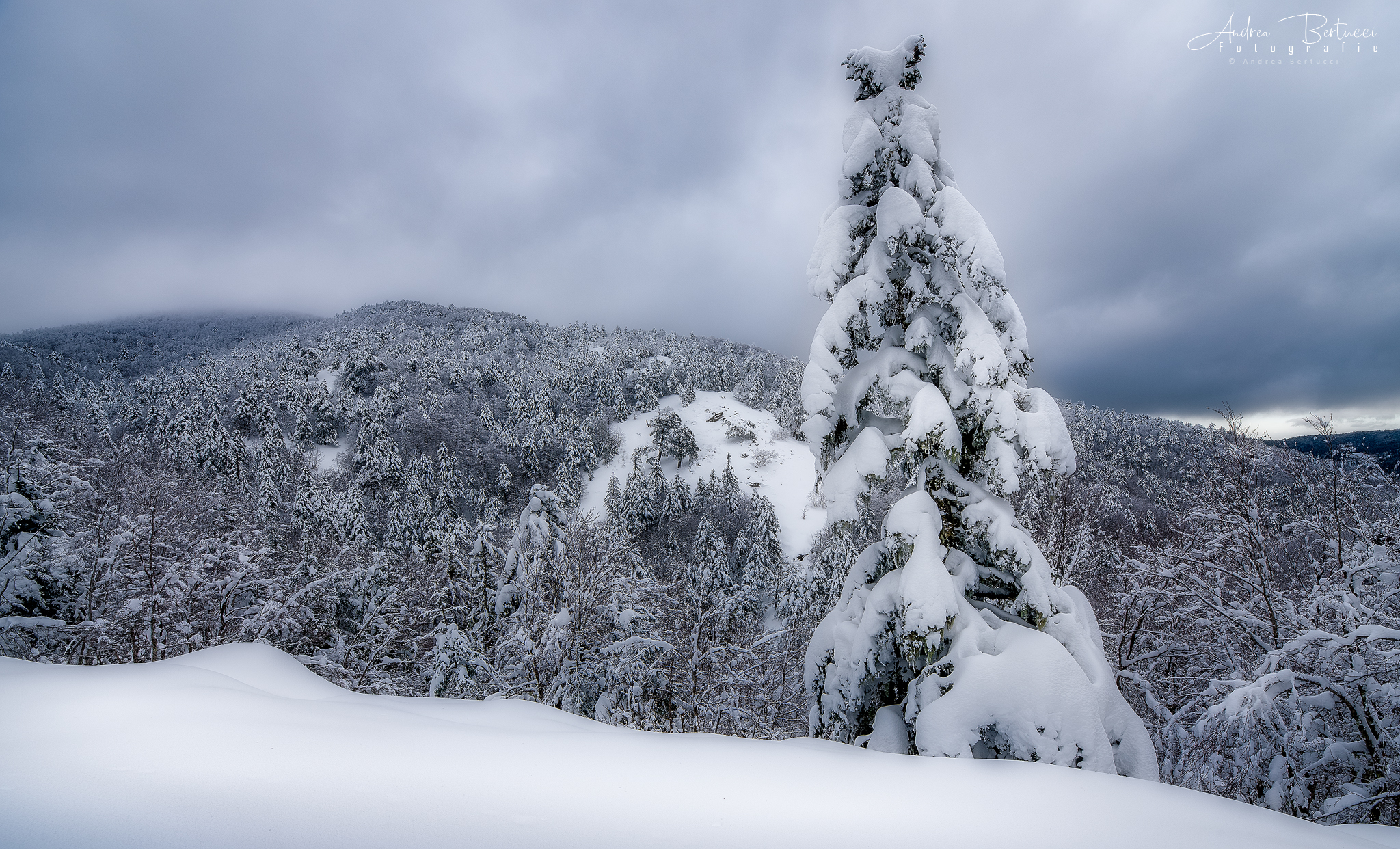 Cold winter...
