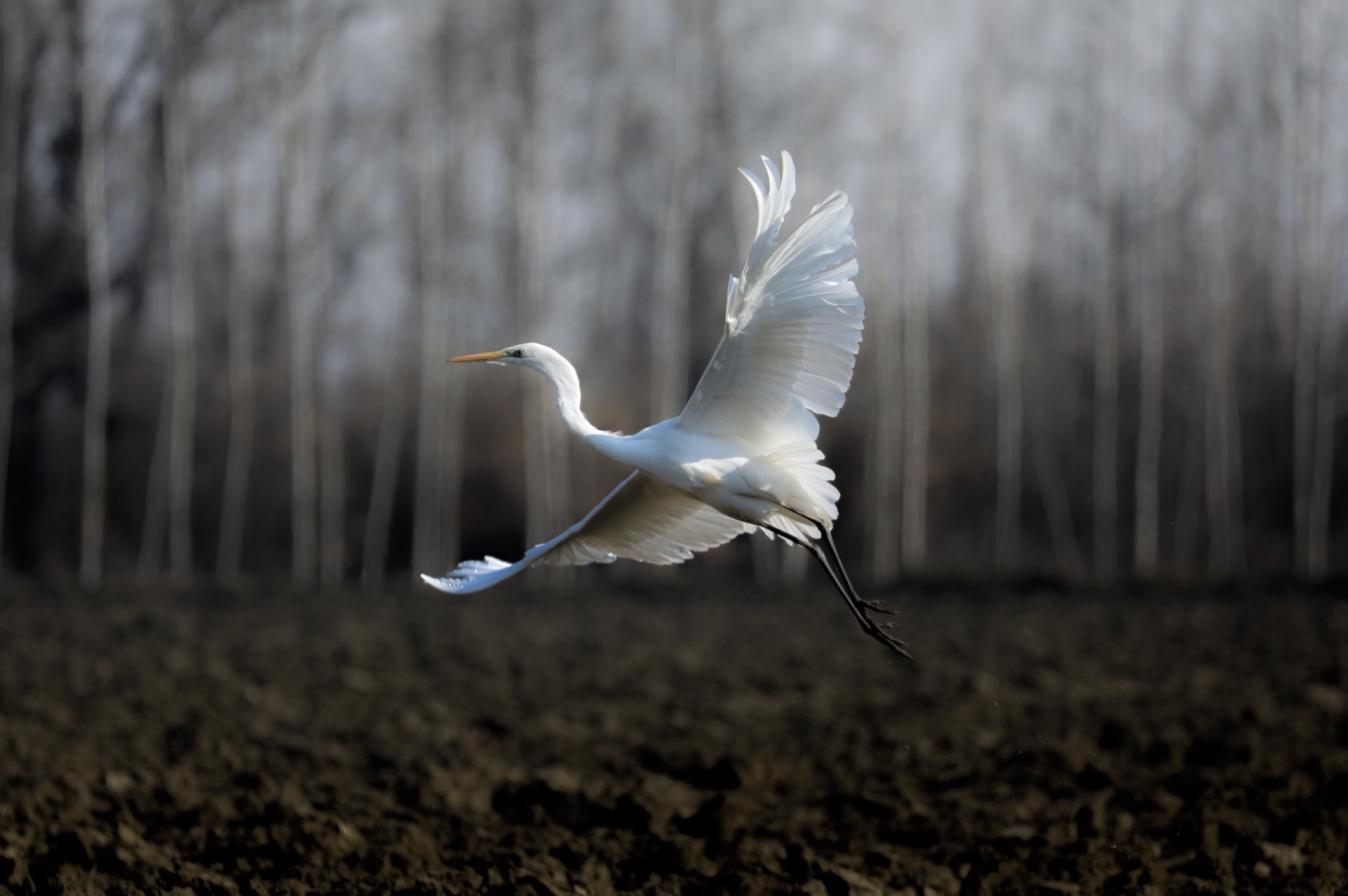 Untitled Photo...