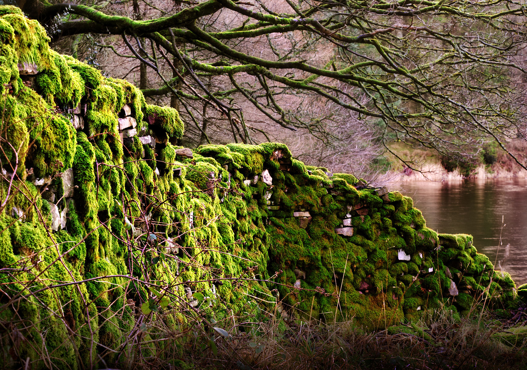 Long Forgotten...