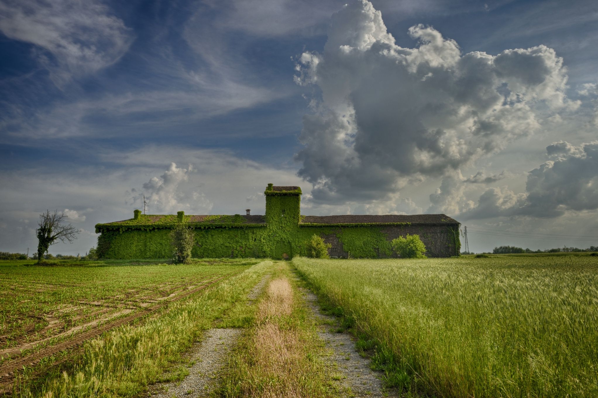 senza titolo hdr...