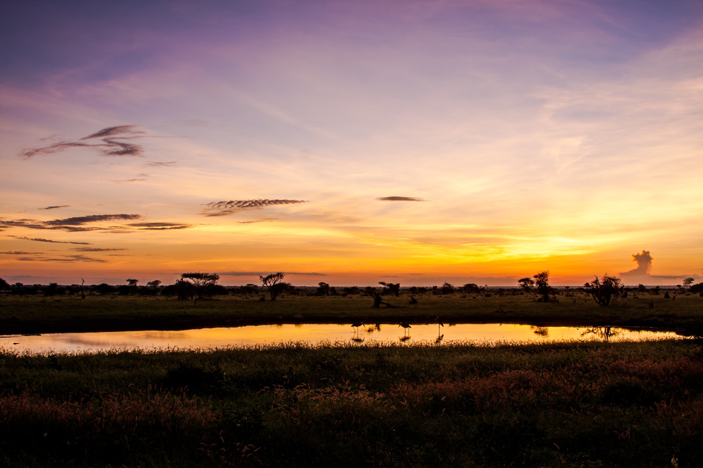 Kenya | Sunrise to Ngutuni Lodge...