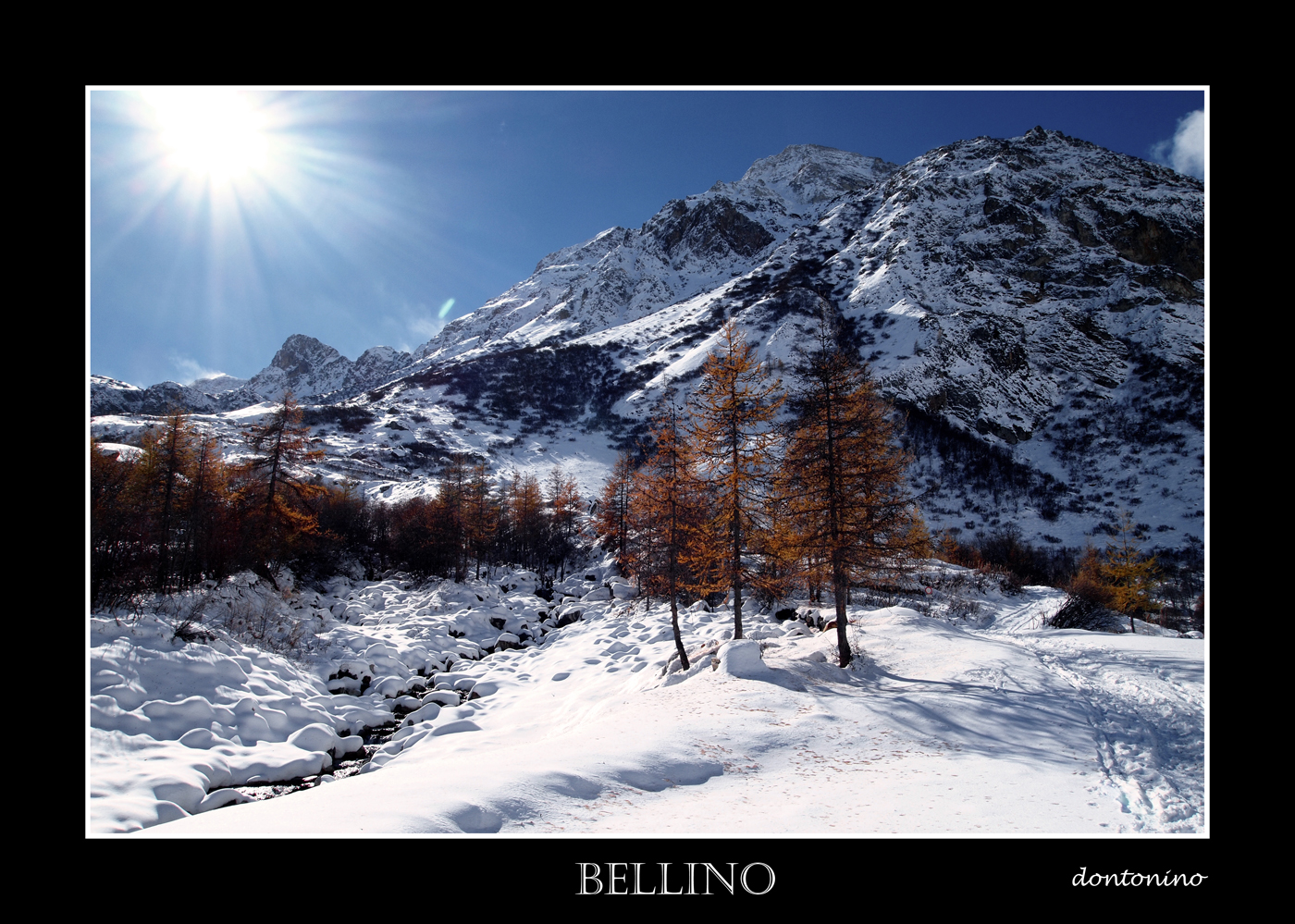 bellino...