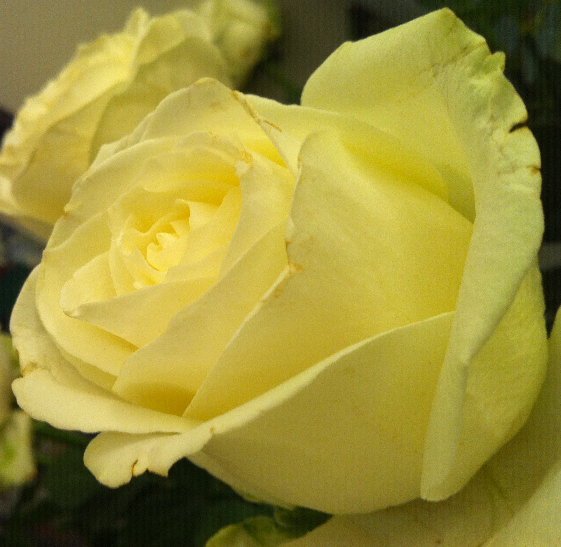 Untitled Photo...