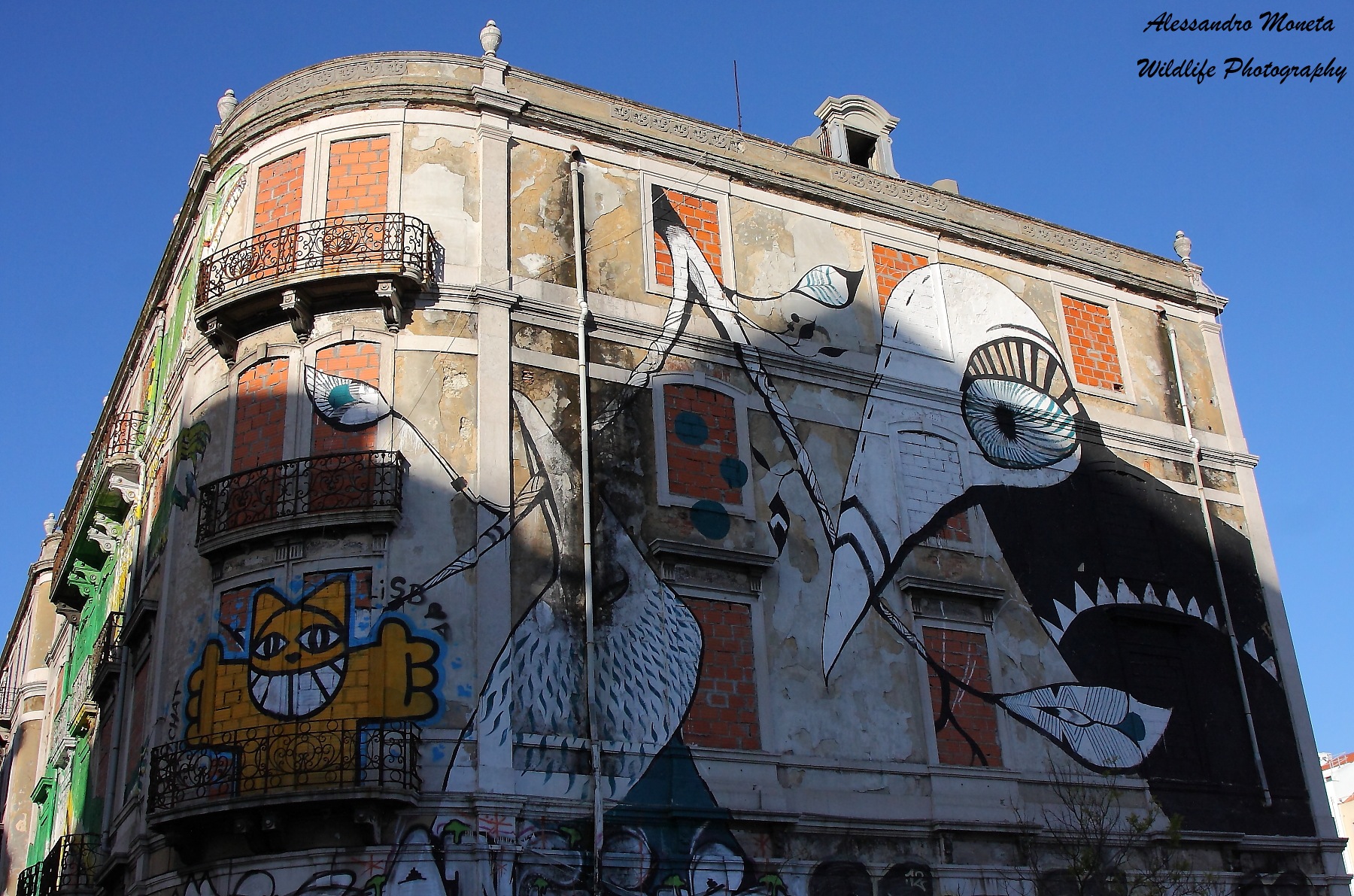 Murales Lisbona...