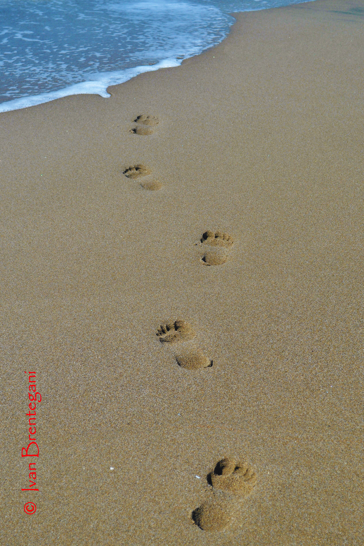 Footprints...