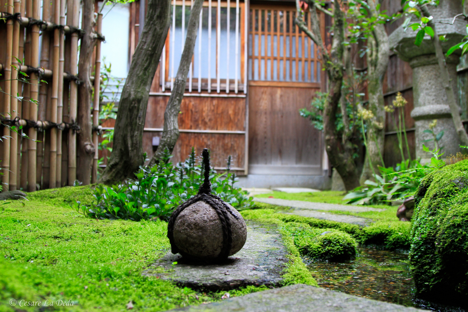 Samurai Garden...