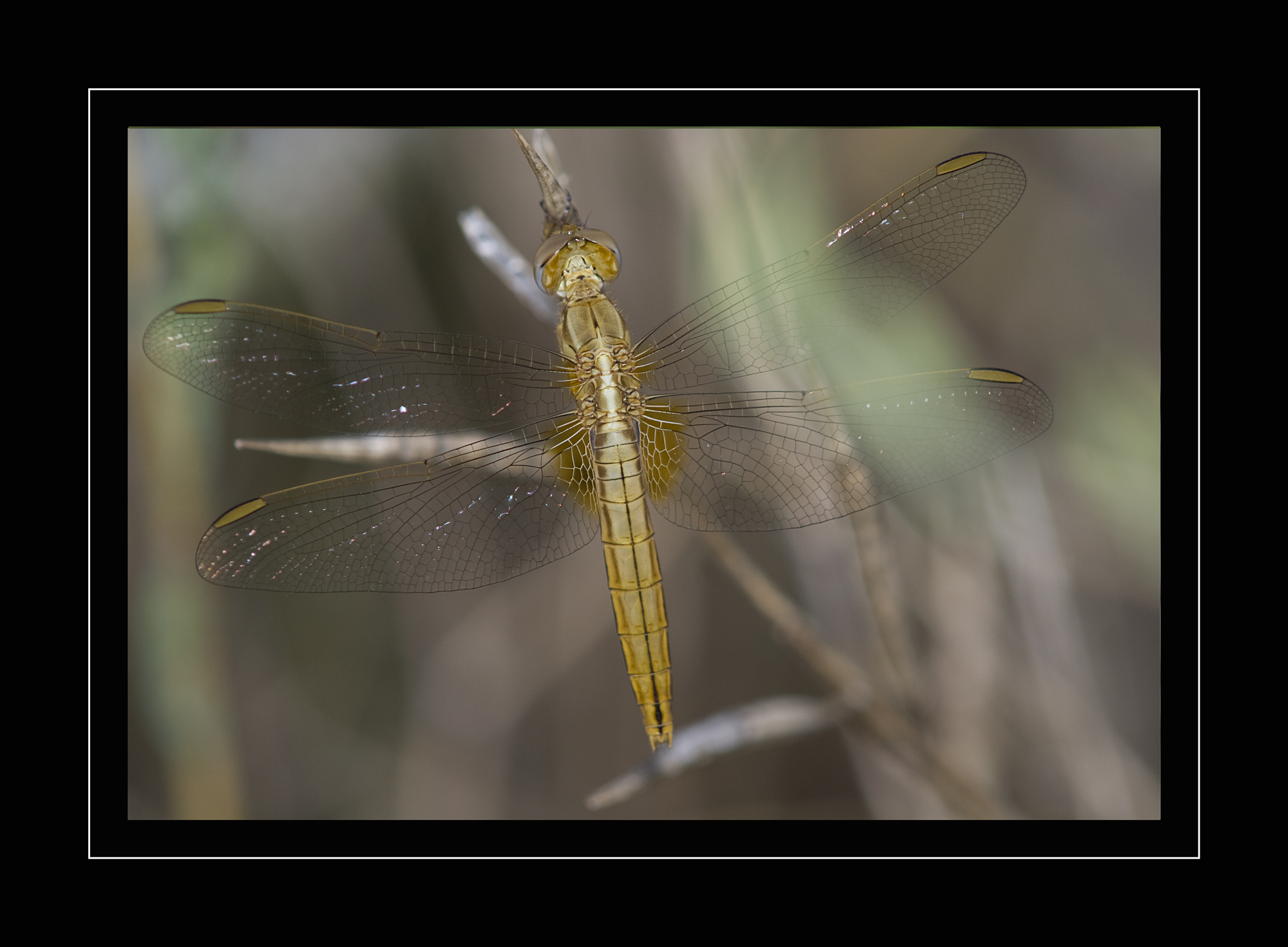 Untitled Photo...