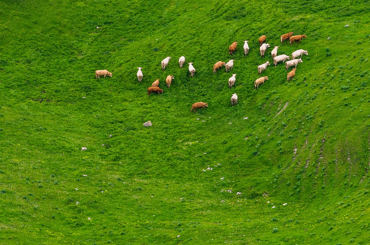 France - Jura...