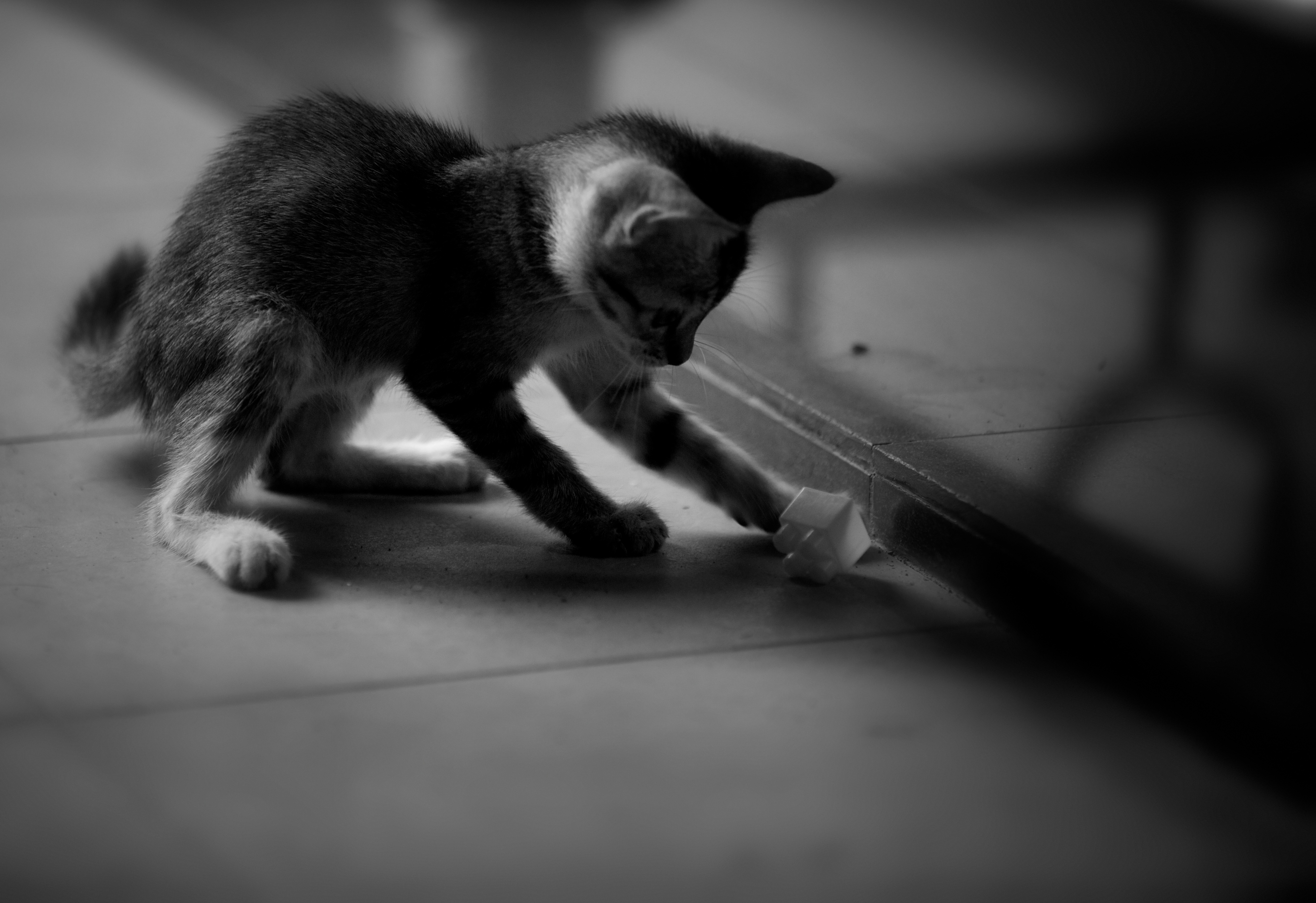 [LOADING...]