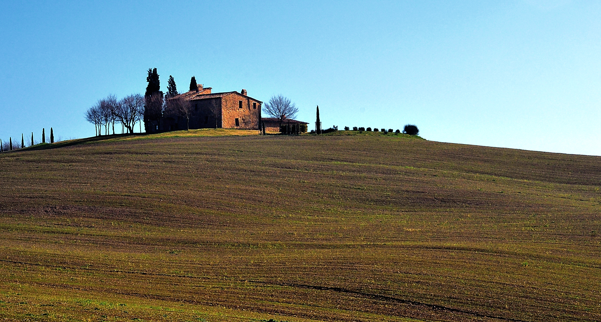 Siena countryside...