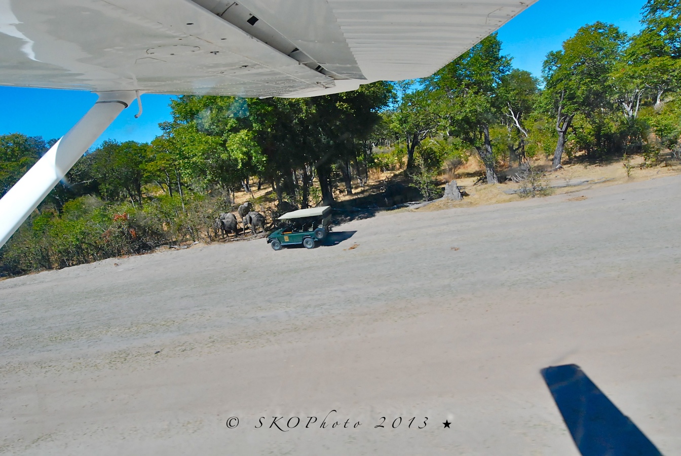 Xakanaxa Airstrip ( 20 minuti da Maun)...