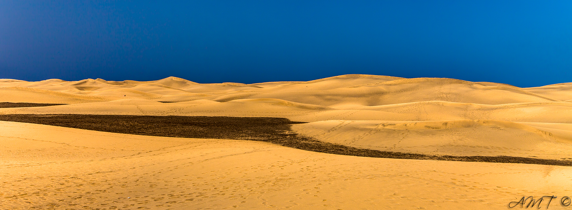 Dunes of Maspalomas...