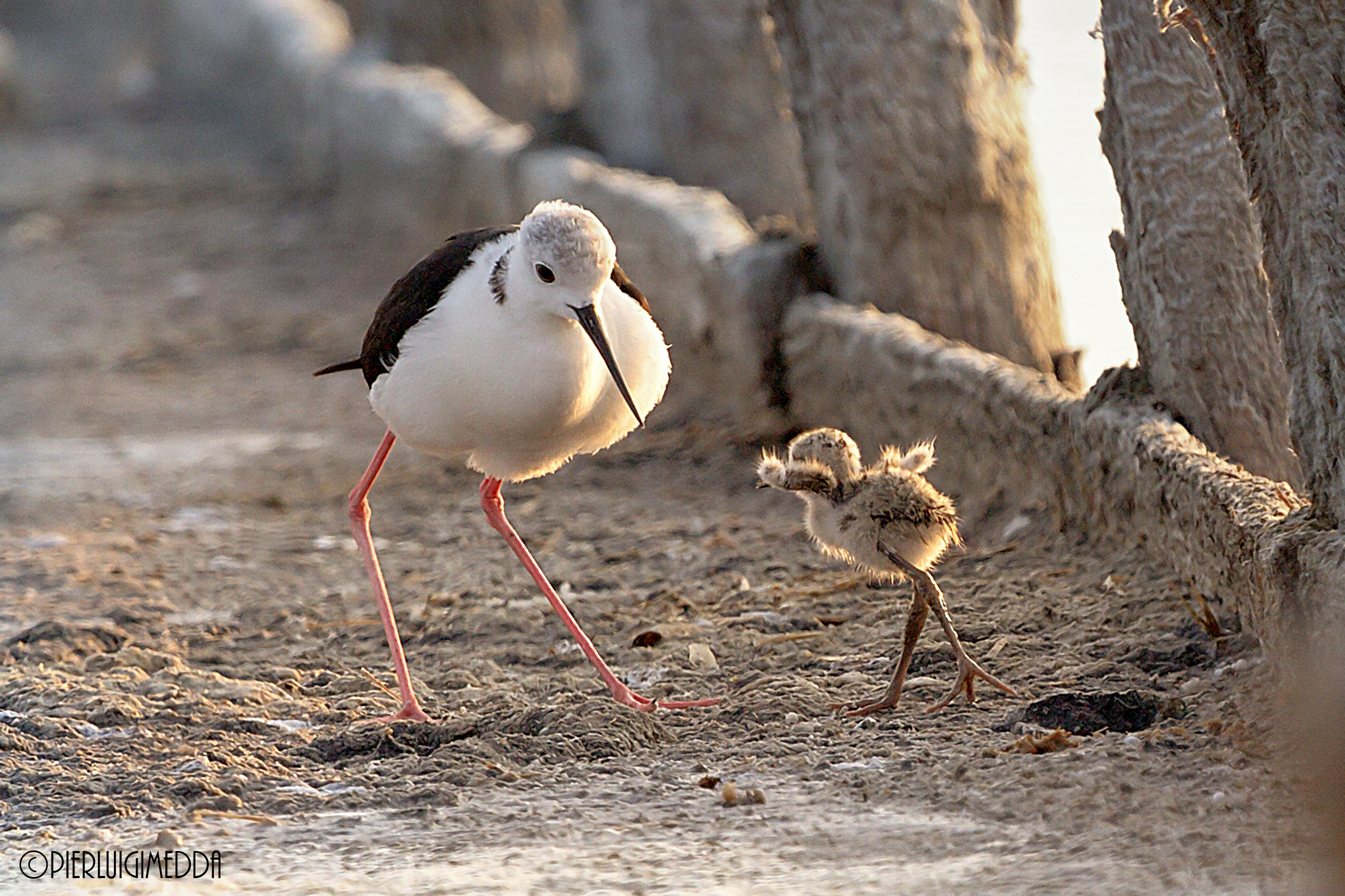 Mom called and the small rushes!...