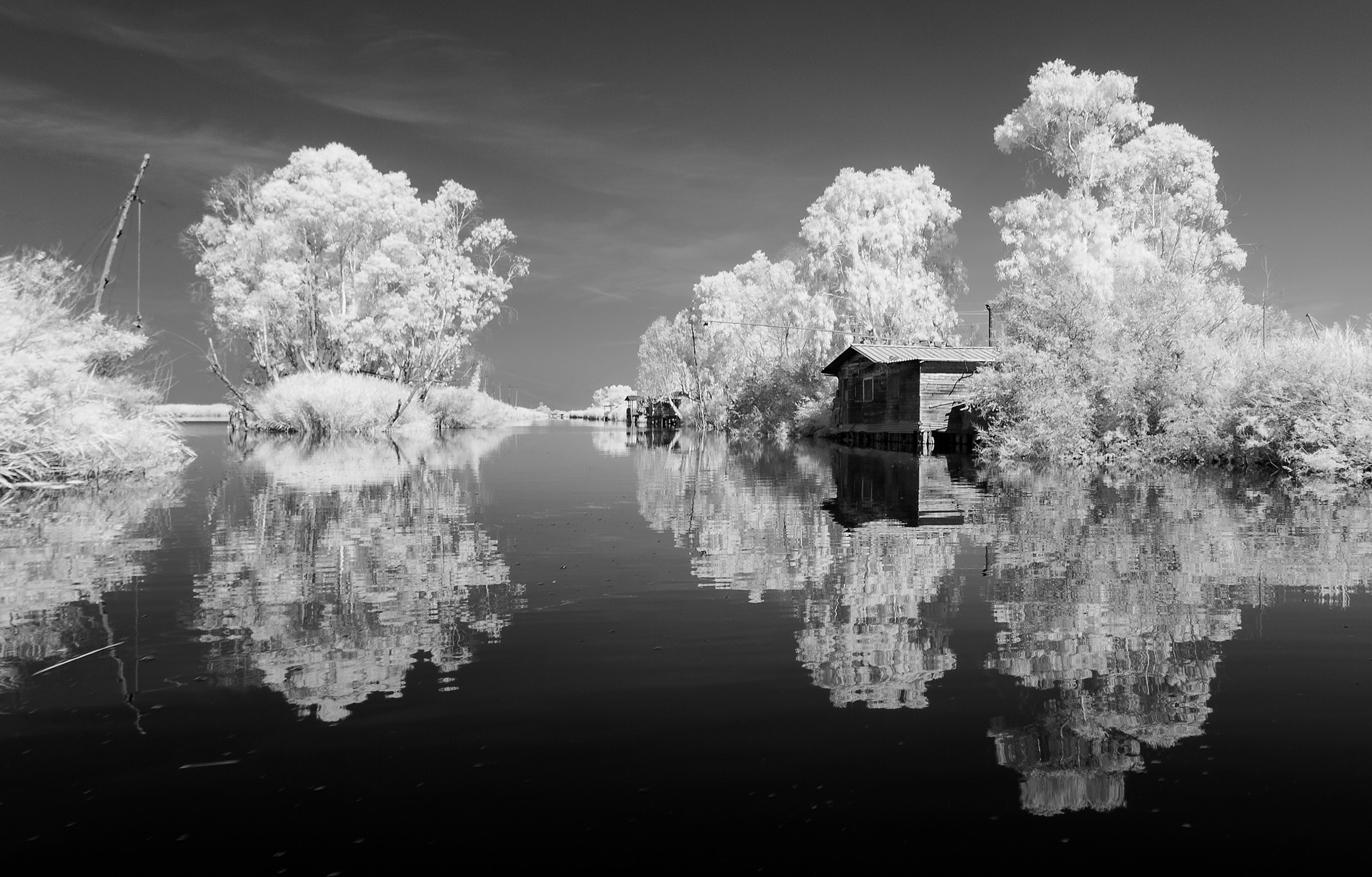 Lago di Massaciuccoli, riflessioni2...