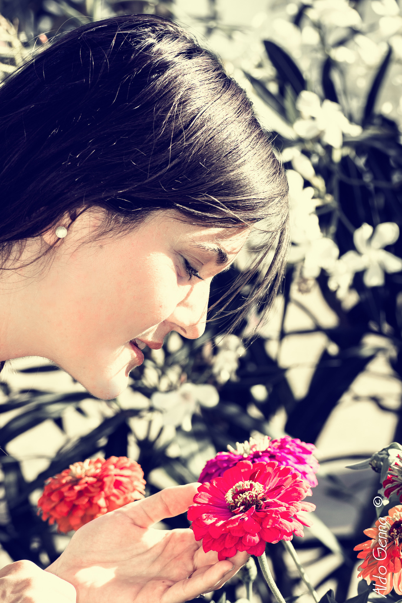 Untitled Photo...