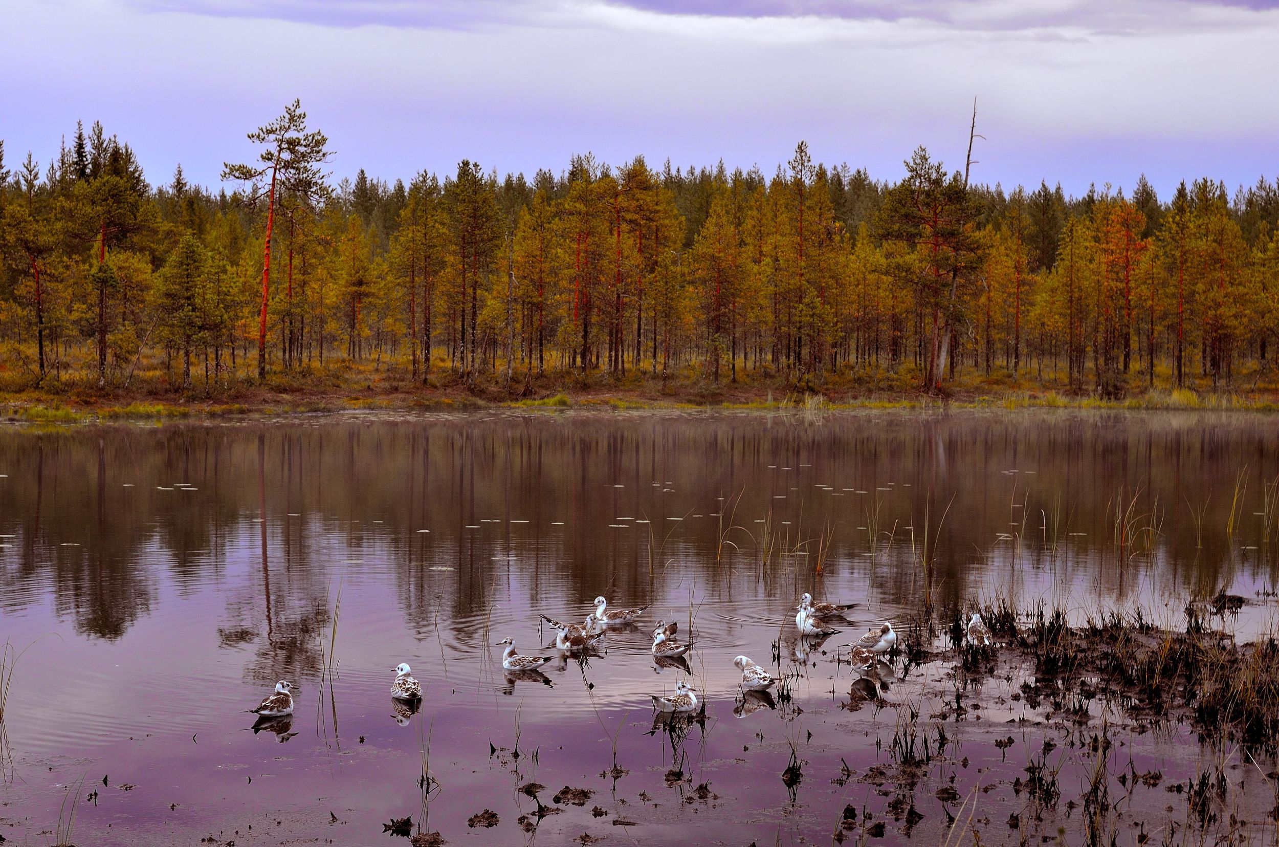 lake...