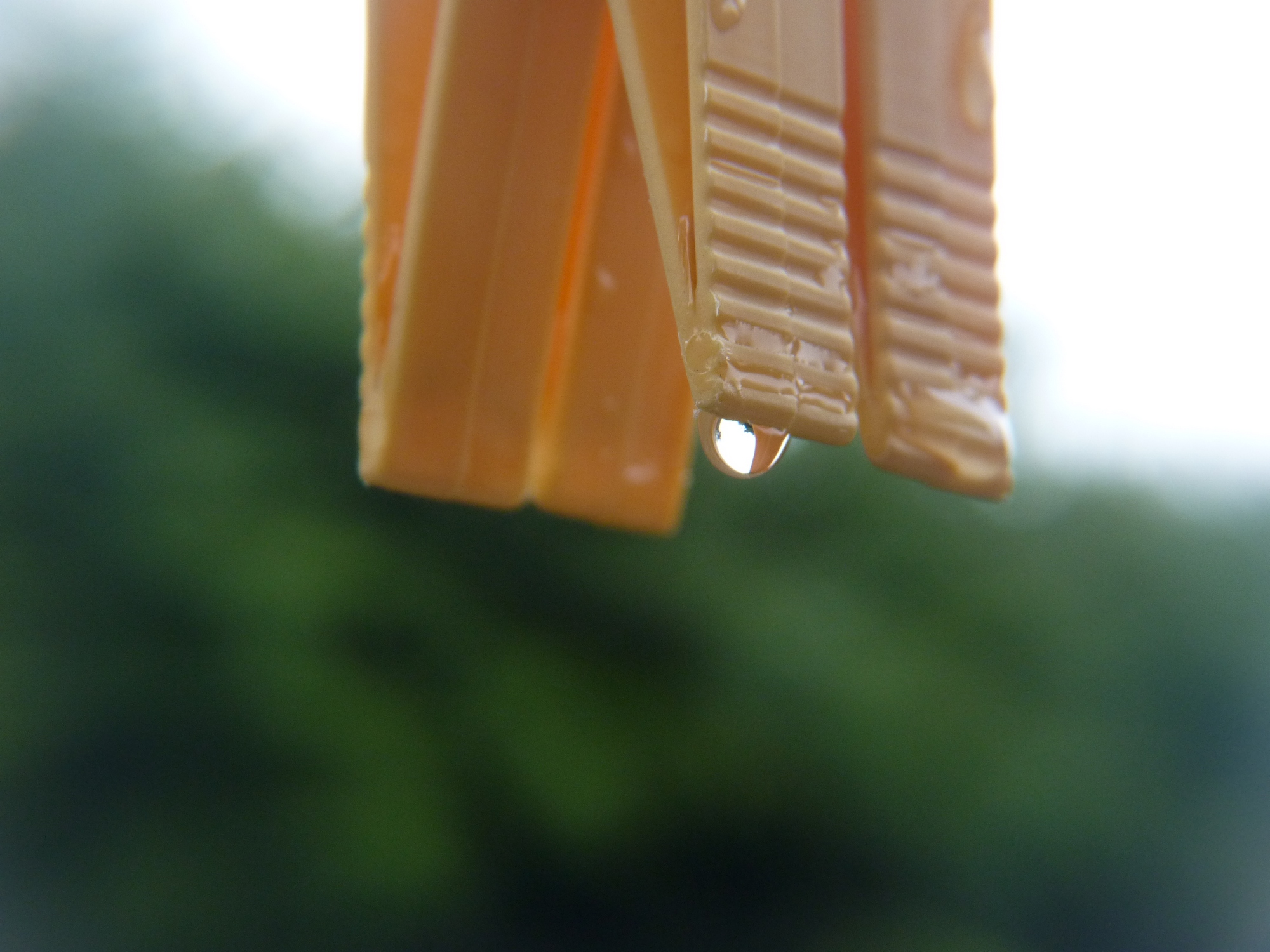 Untitled Photo...