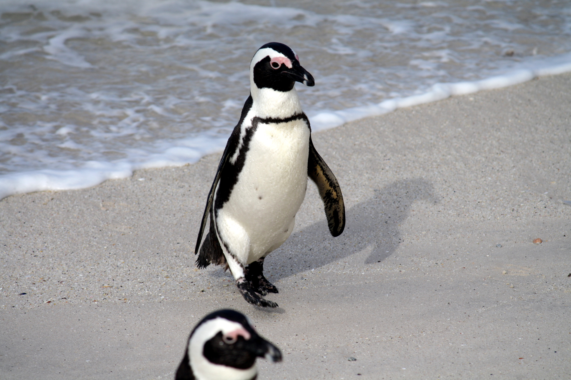 Tipo da spiaggia, Sud Africa...