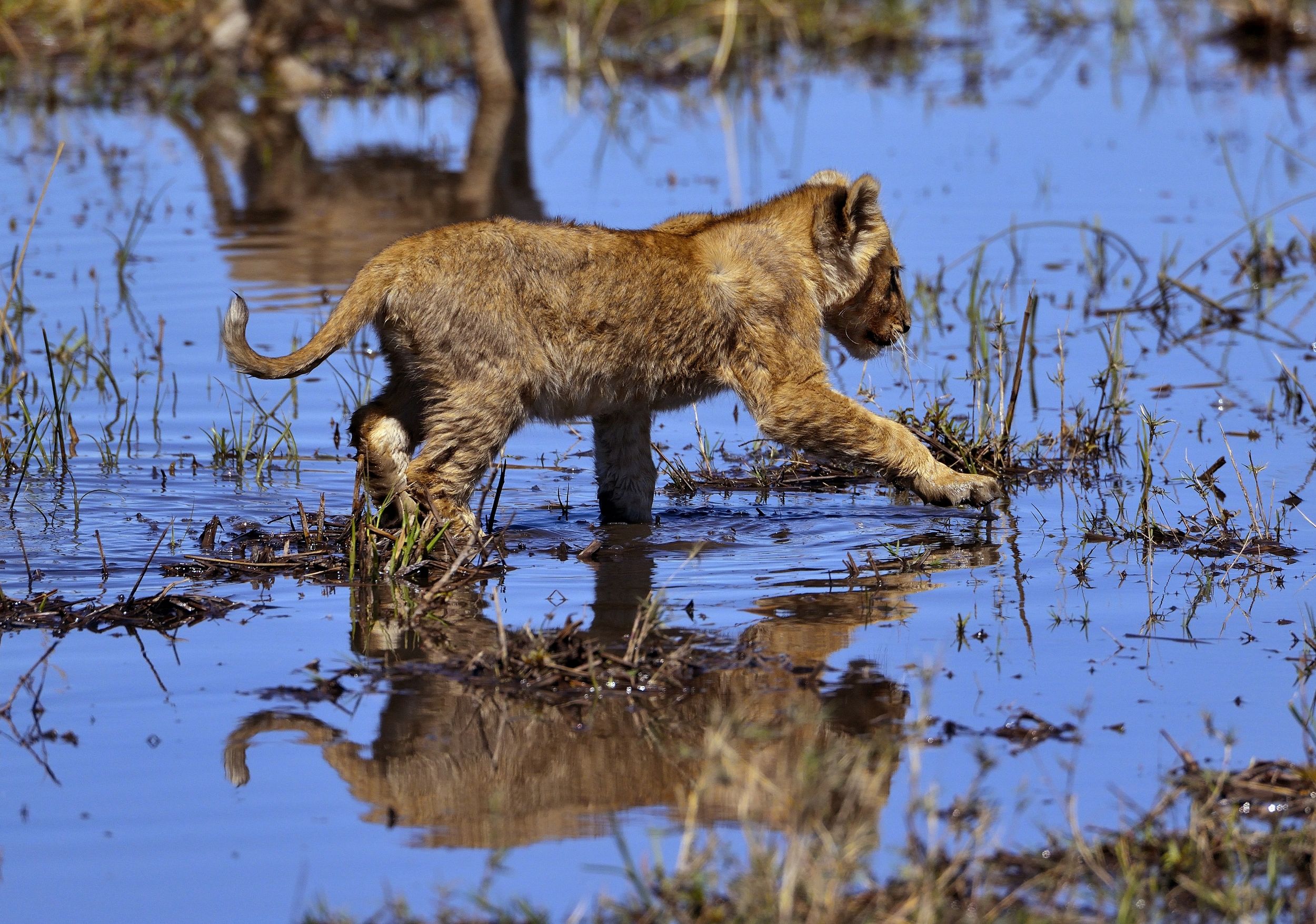 ....che schifo l'acqua...