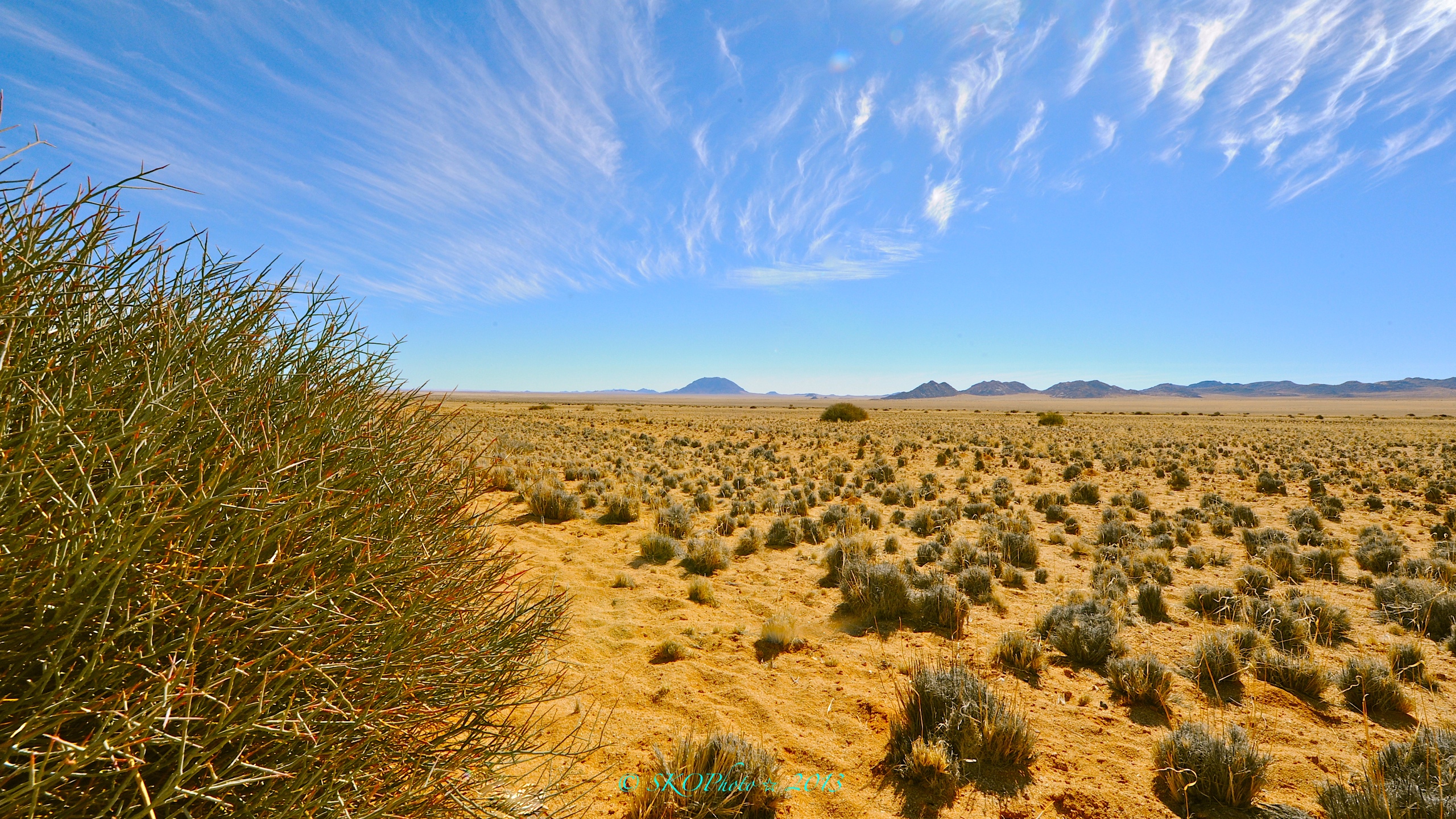 Da Aus a Luderitz - Deserto del Namib...