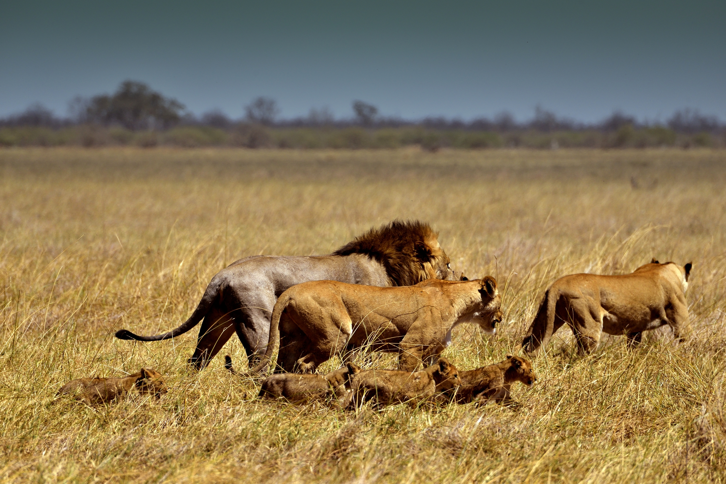 family...
