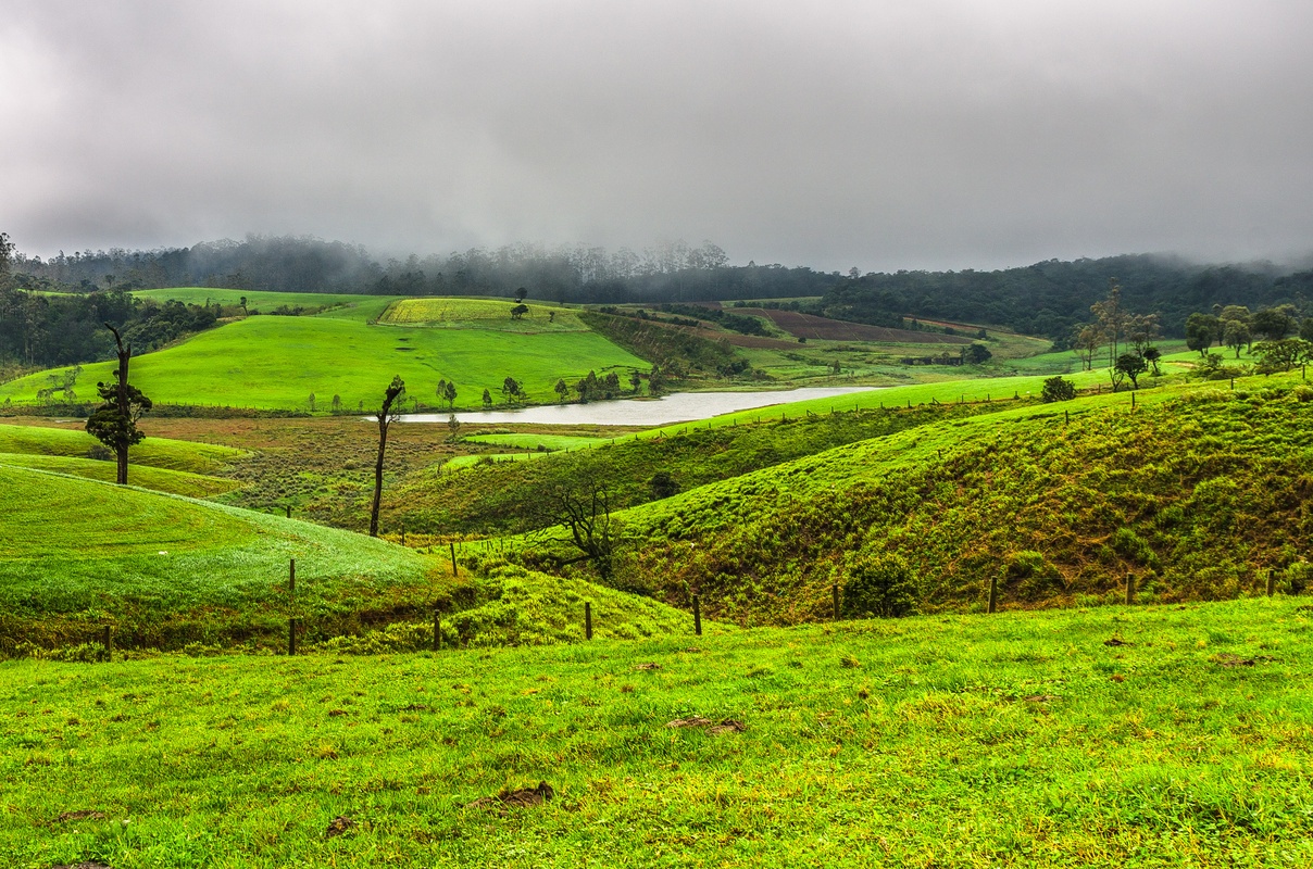 Sri Lanka - Little New Zealand near Nuwara Eliya...