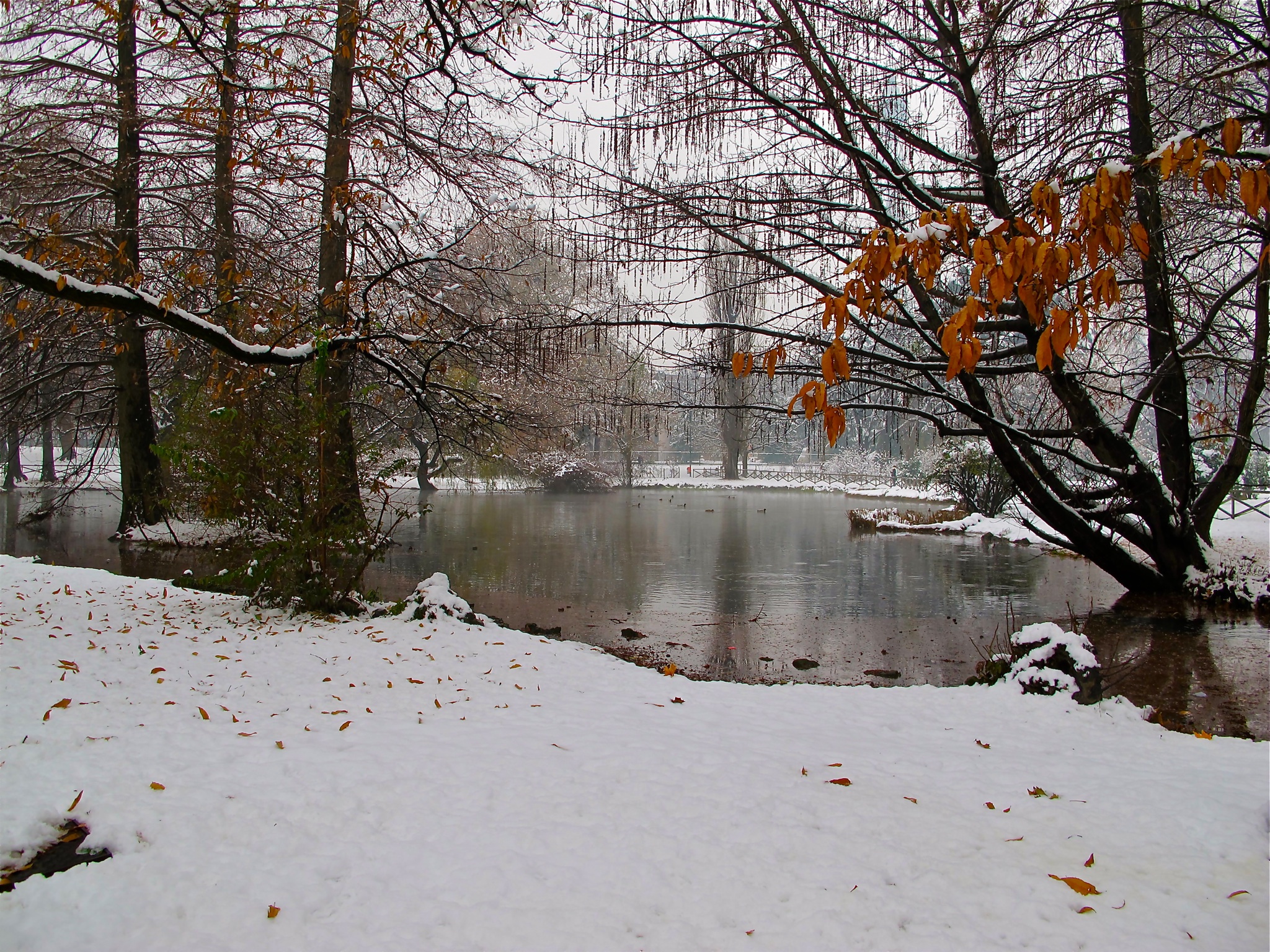 Parco Sempione in inverno...