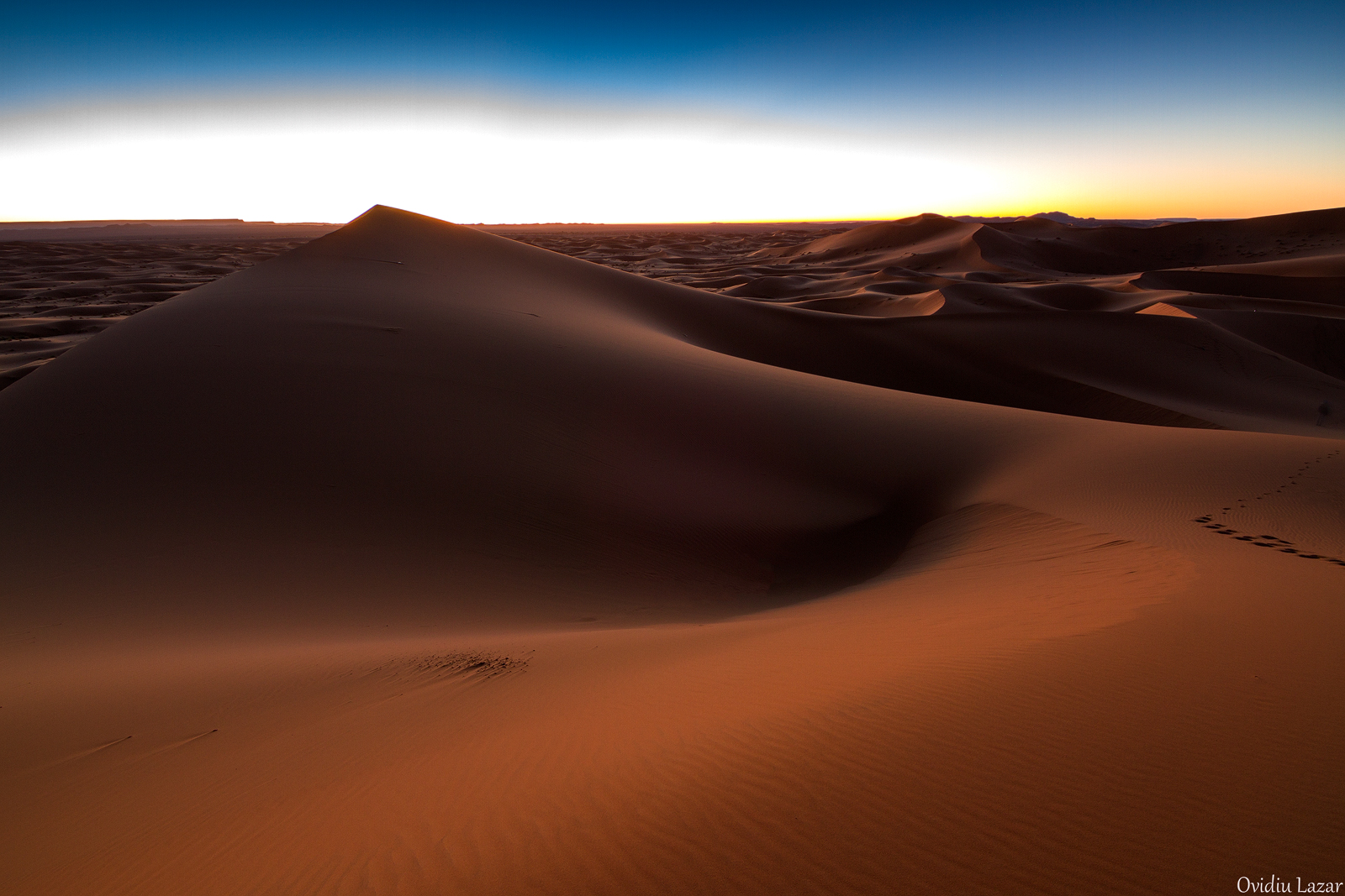 ora blu nel Sahara...