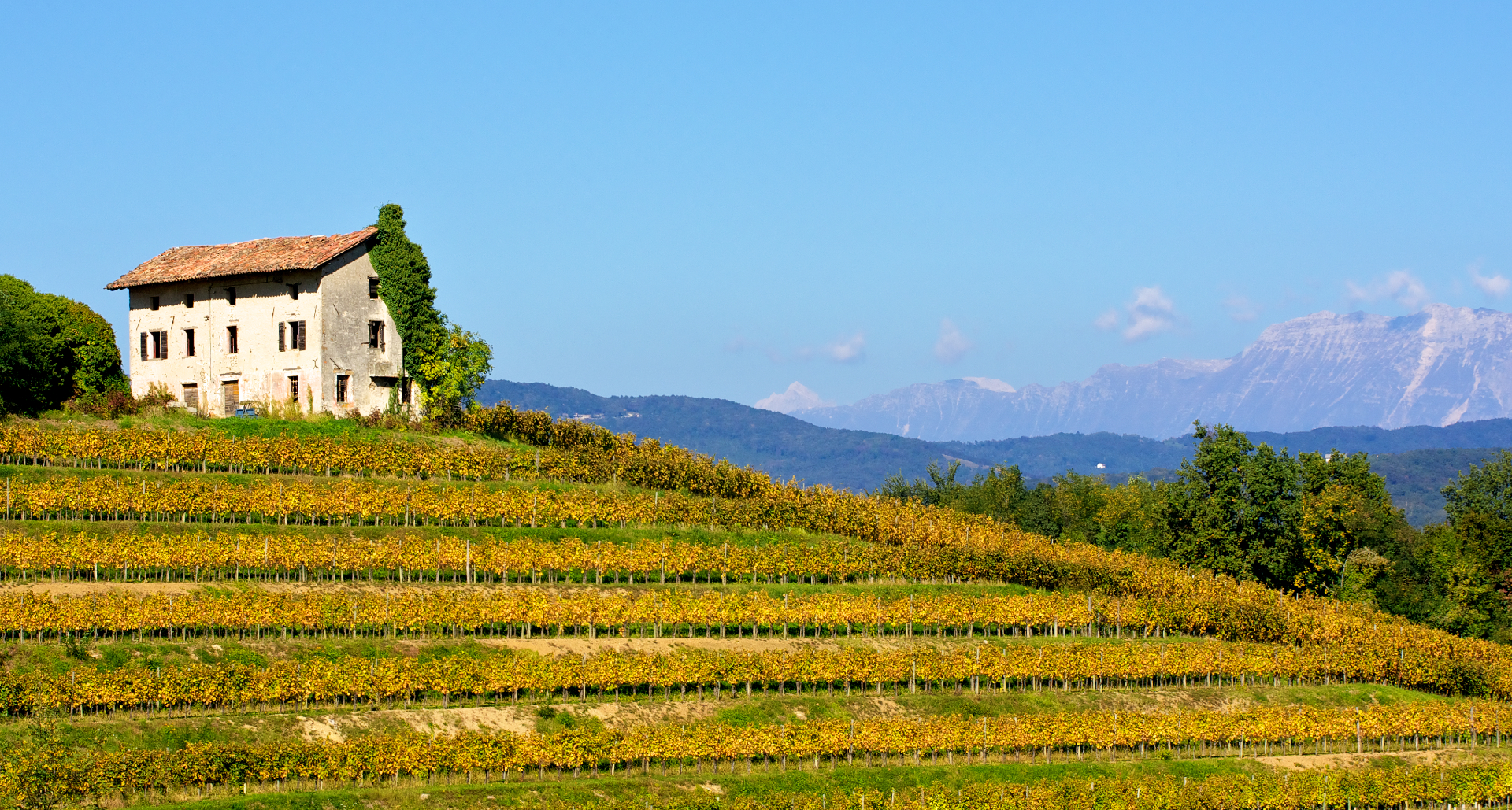 The collio autumn...