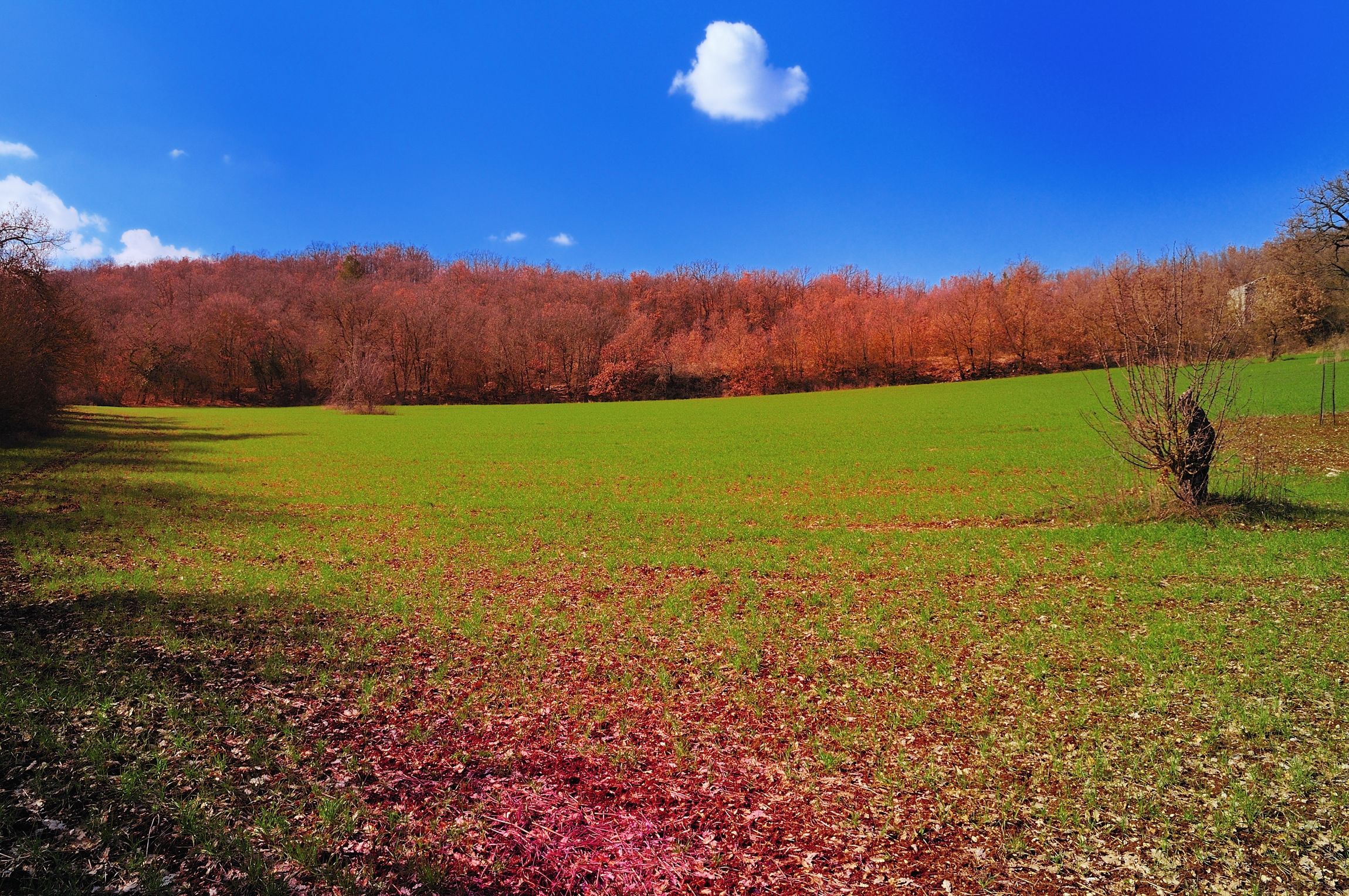 Vecchie foto ritrovate - paesaggio...