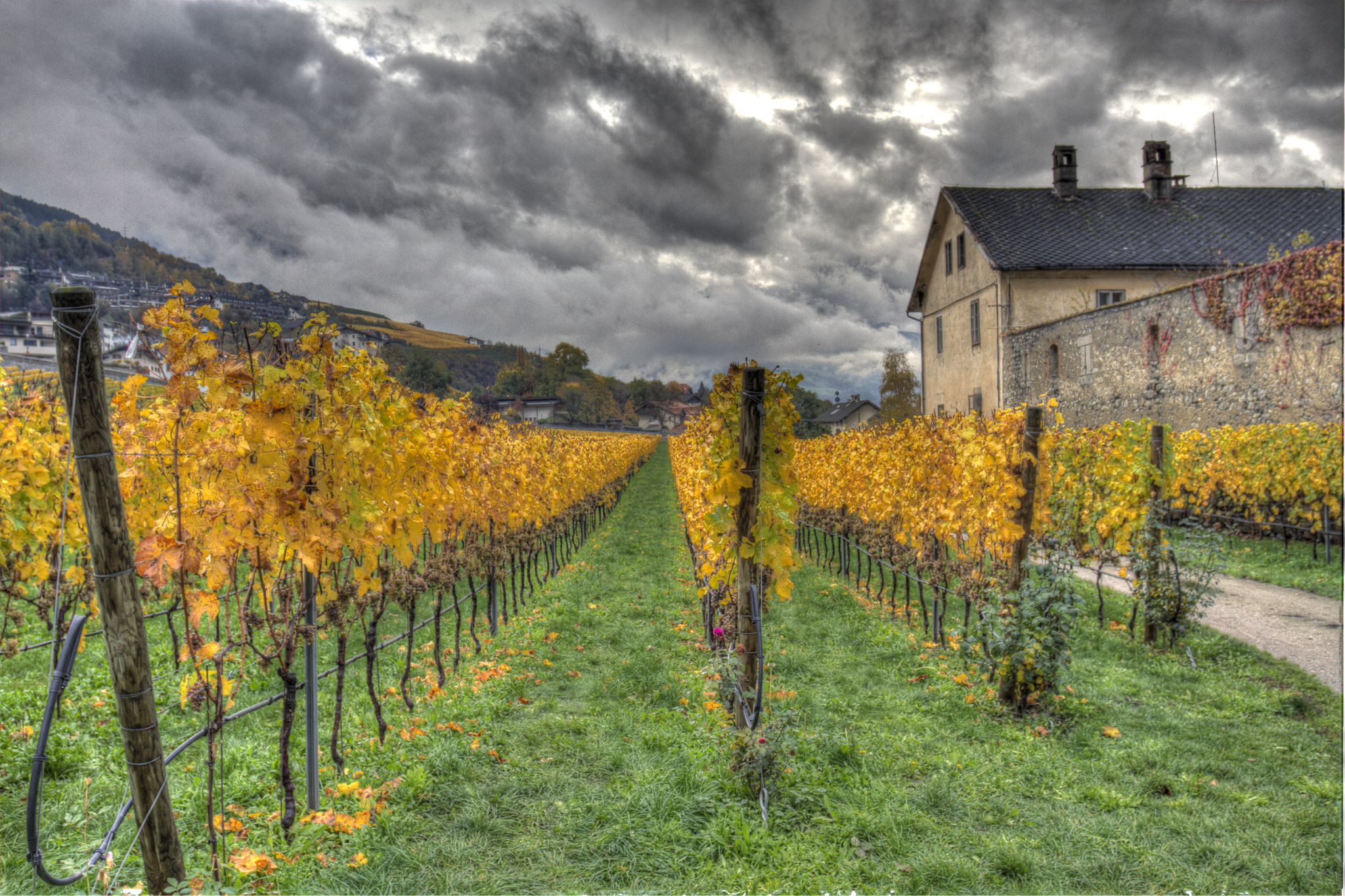 Vigneti Abbazia Novacella...