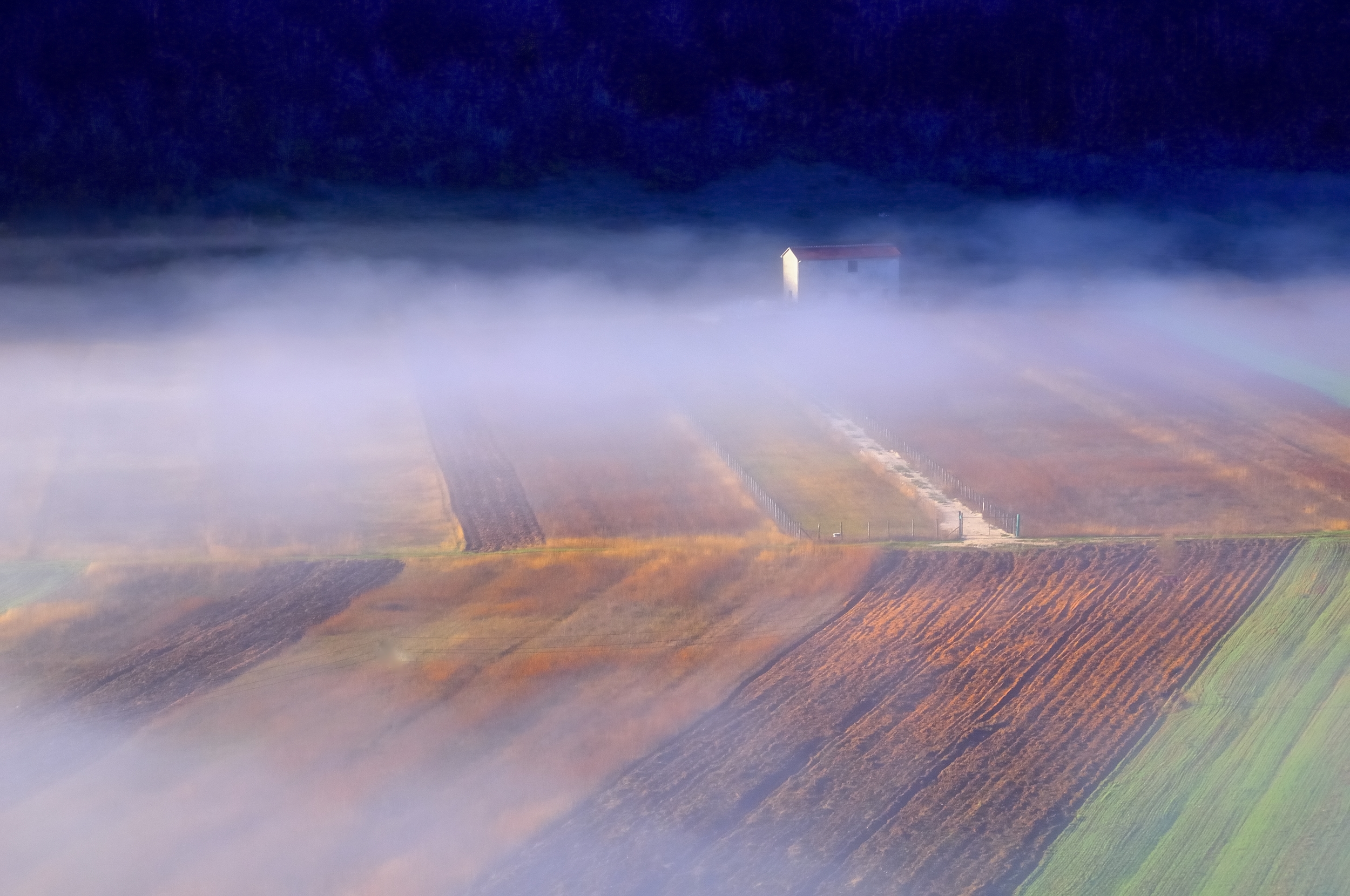 fog in the fields...