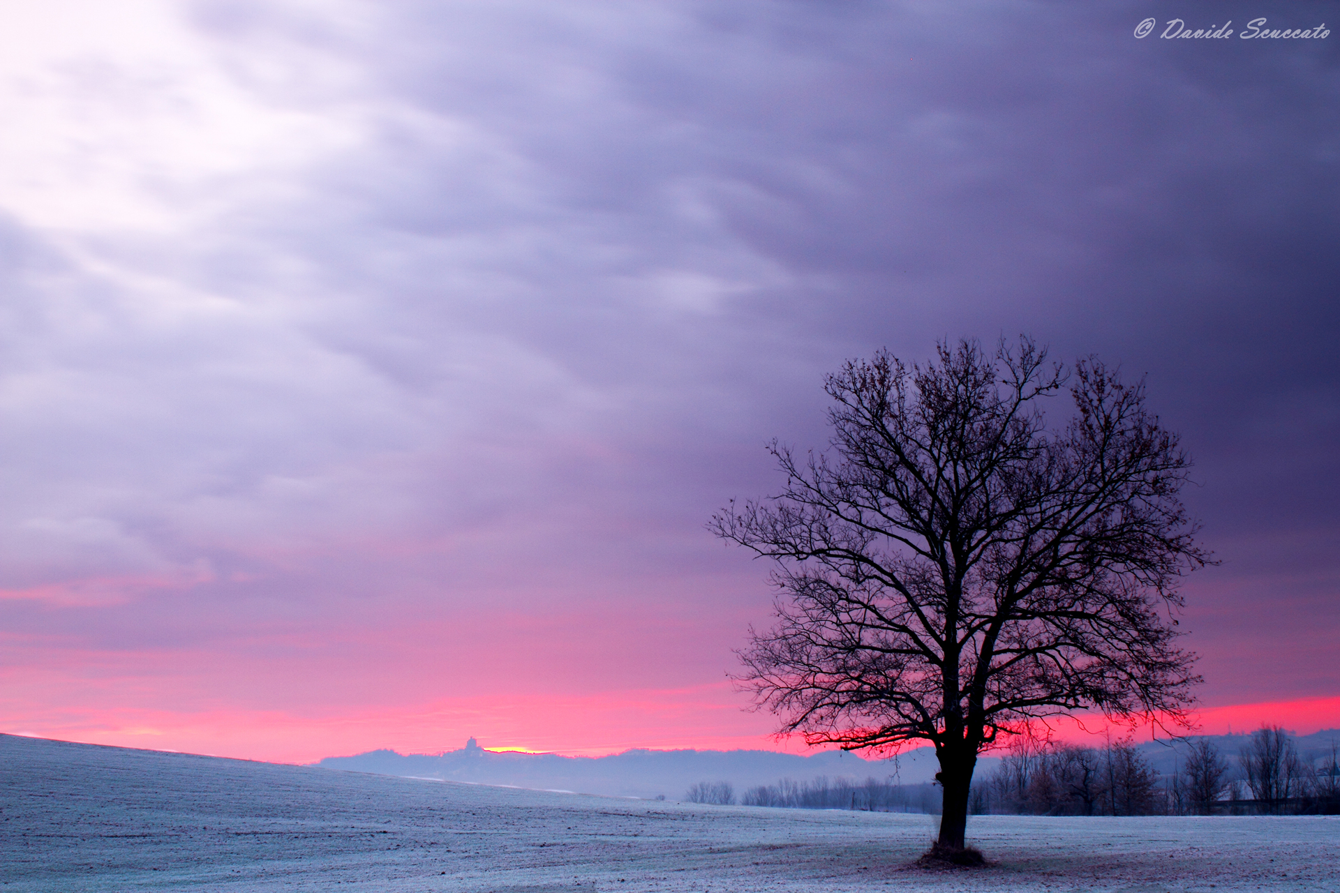 Un'alba violacea...