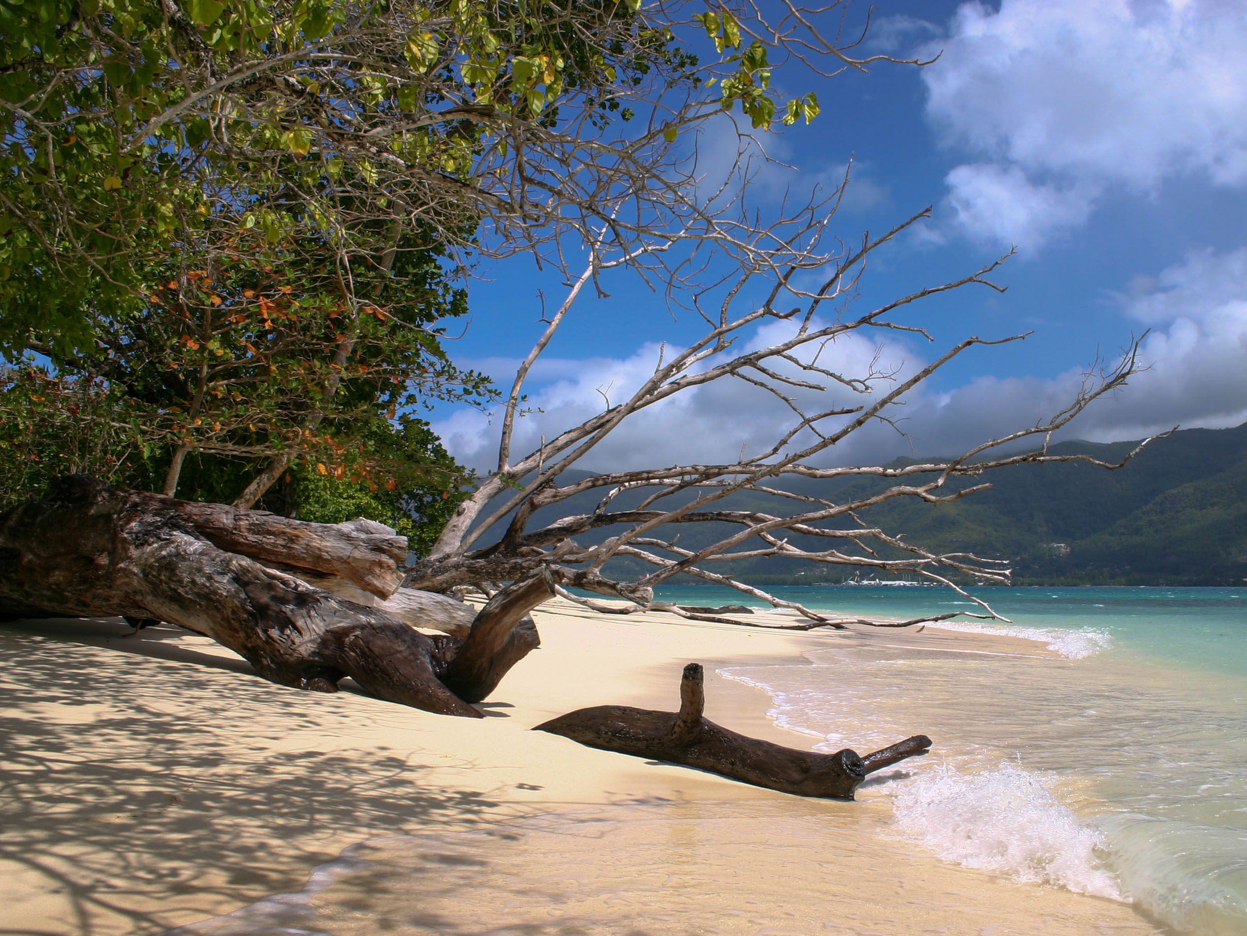 Praslin Island - Seychelles...