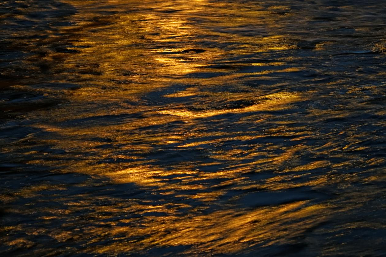 L'isola Tiberina, Carl Zeiss Sonnar 135mm f/4...