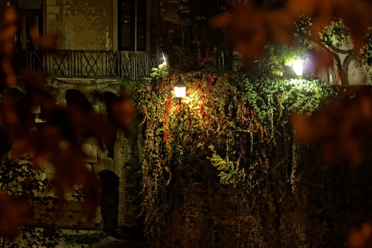 L'isola Tiberina, Carl Zeiss Sonnar 135mm f/4...