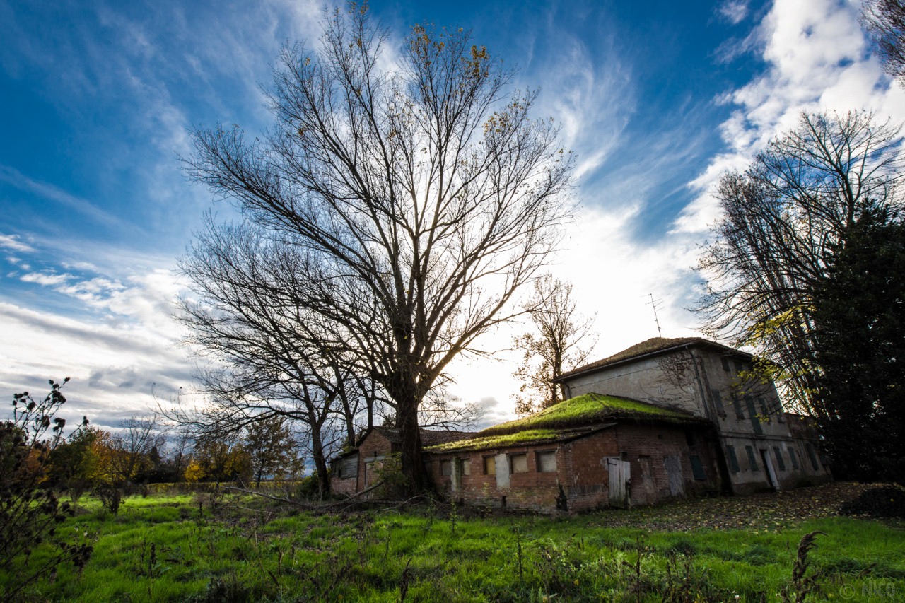 the ruins of an old cottage...