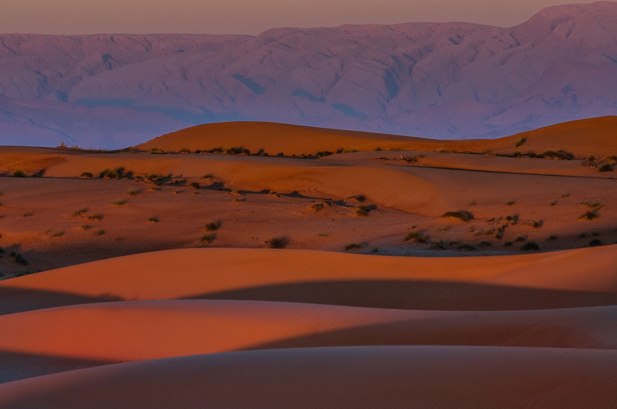 Oman - Ultimo luce su Wahiba Sand...