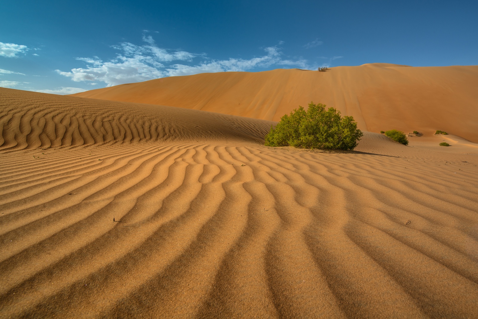 Rub al-Khali desert...