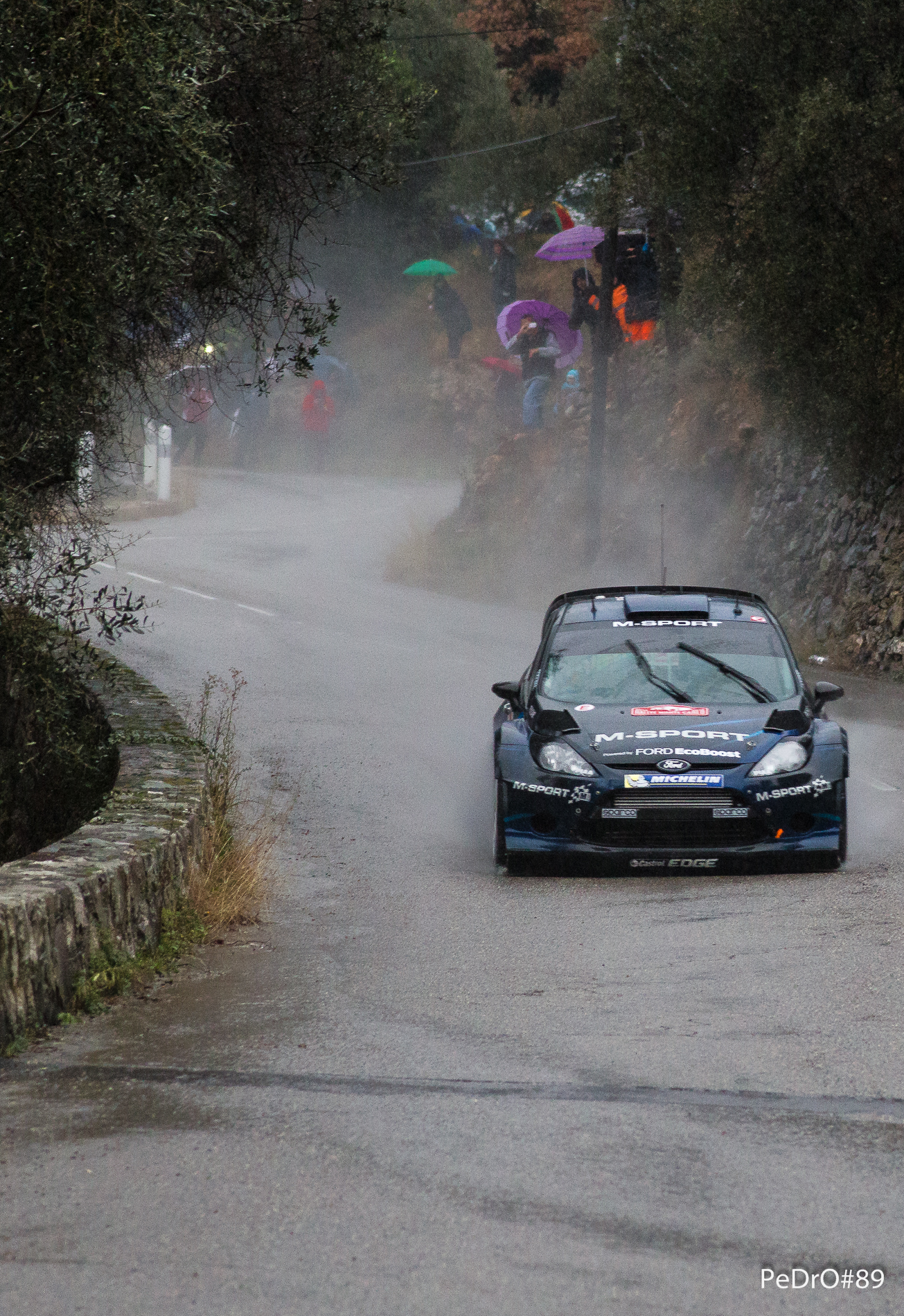 Rally Monte Carlo 2014...
