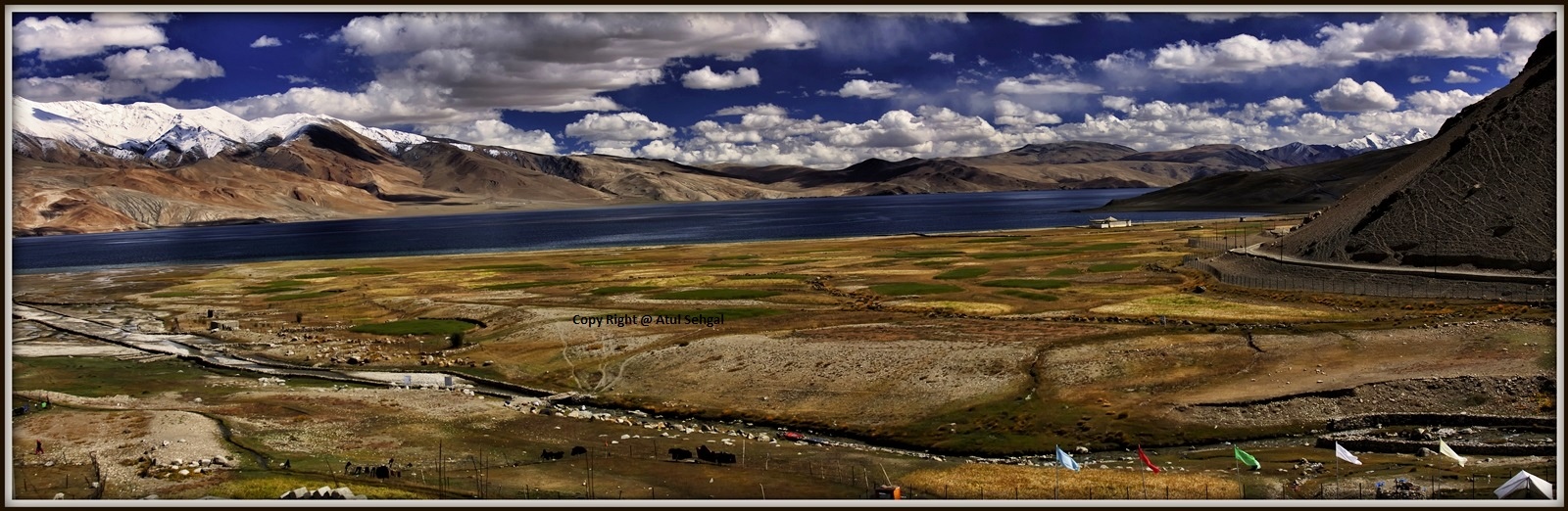 Tso Moriri Wetland reserve....Changthang ladakh...