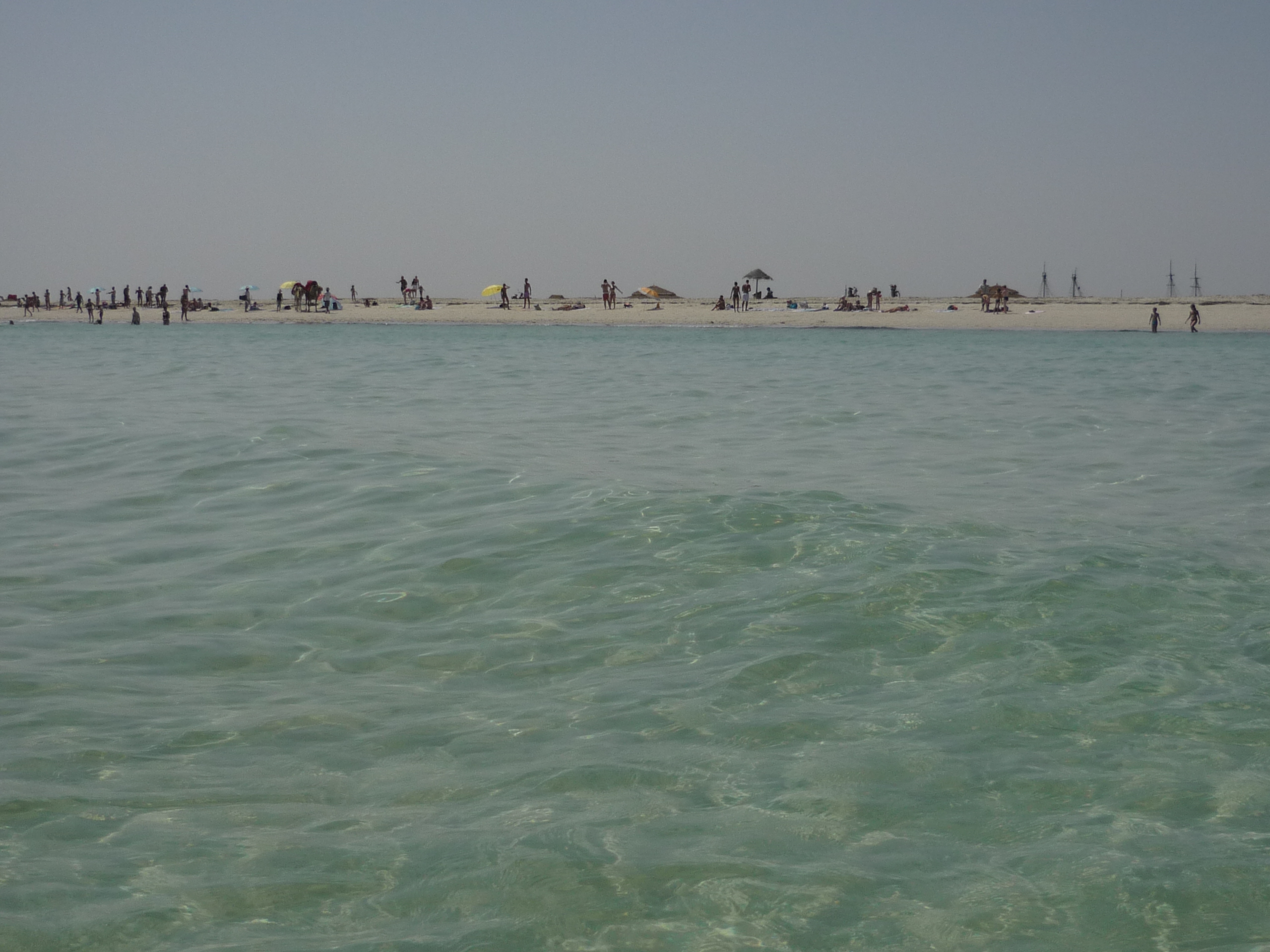 Isola dei Fenicotteri, Tunisia...
