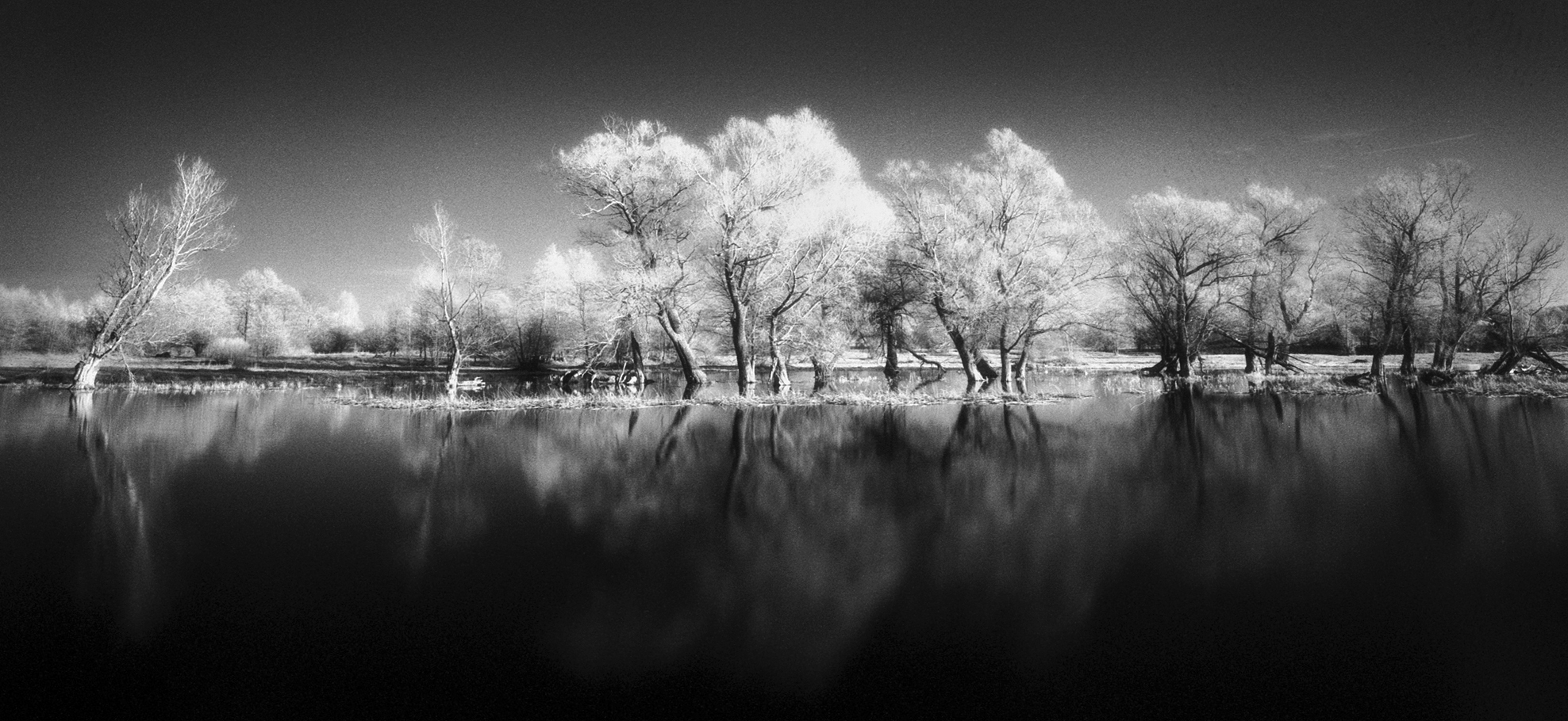 Reflections, Narew River...