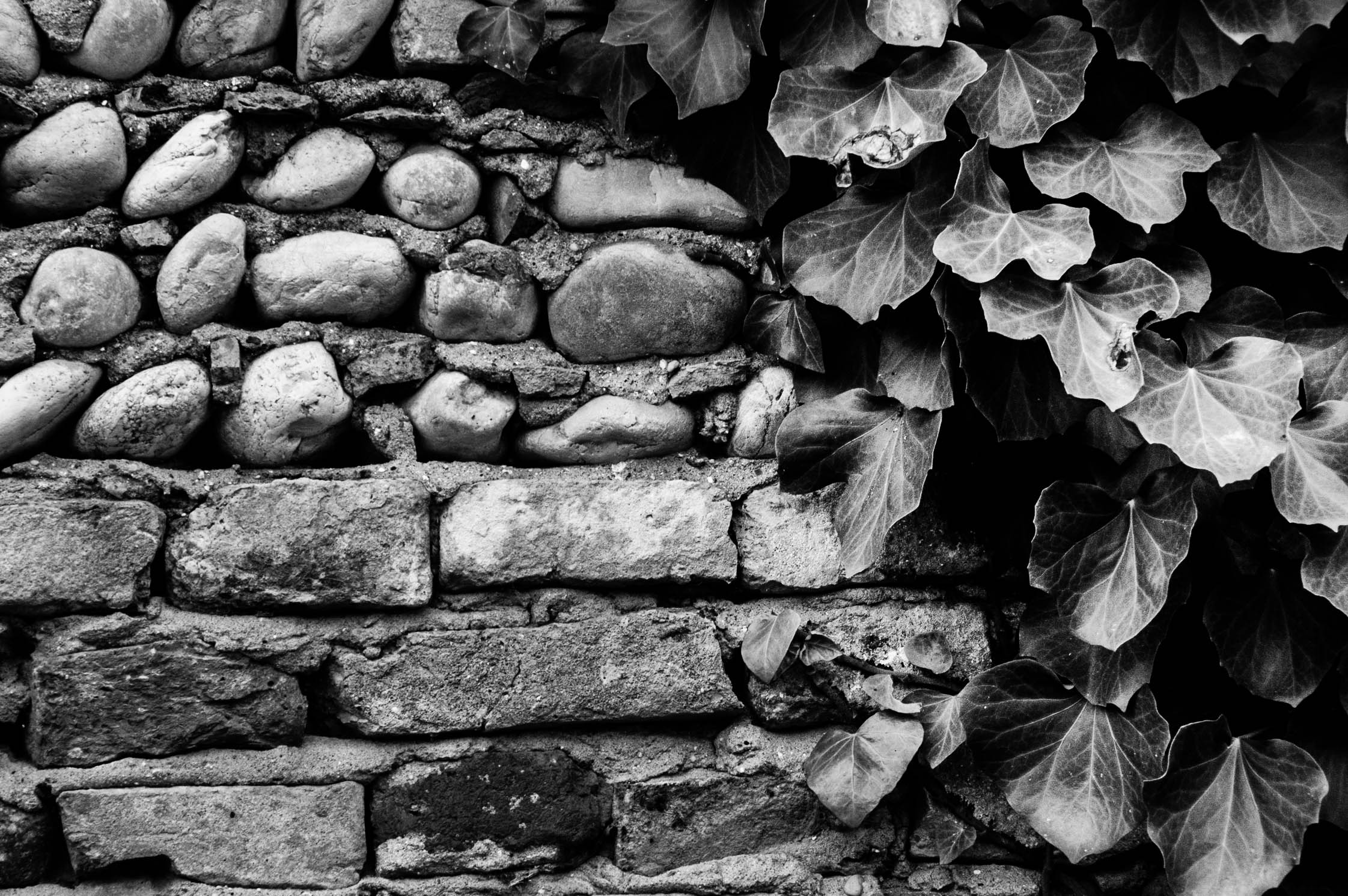 Untitled Photo...