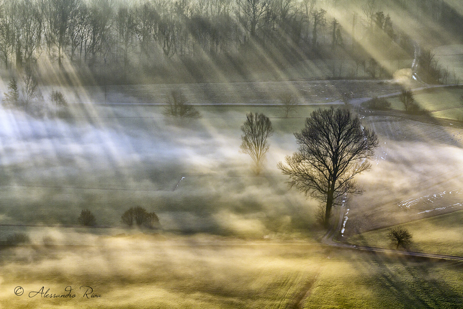 Light and fog ......
